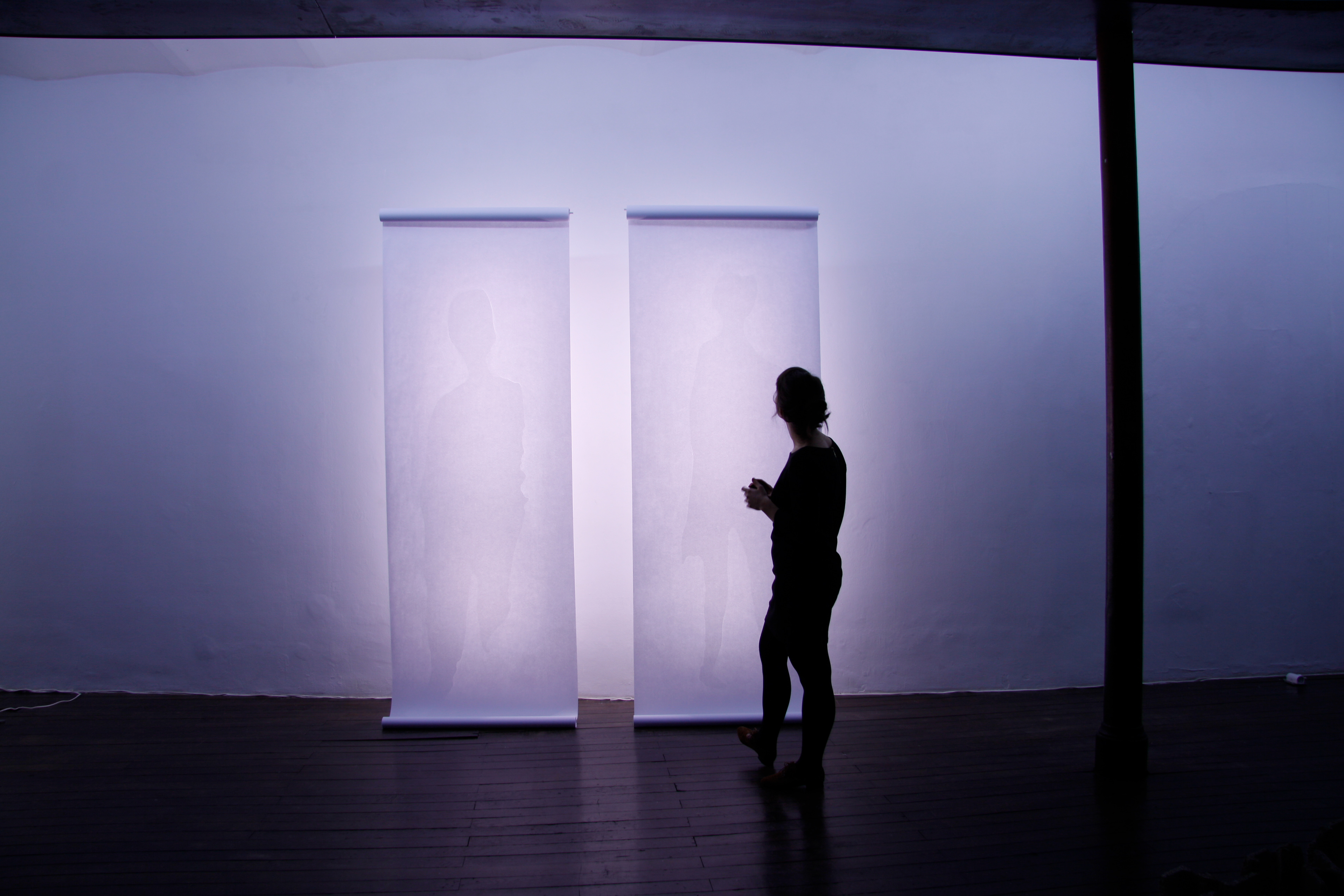 Aléas (2012), Group Show, Centre Européen d'Actions Artistiques Contemporaines, Strasbourg, France