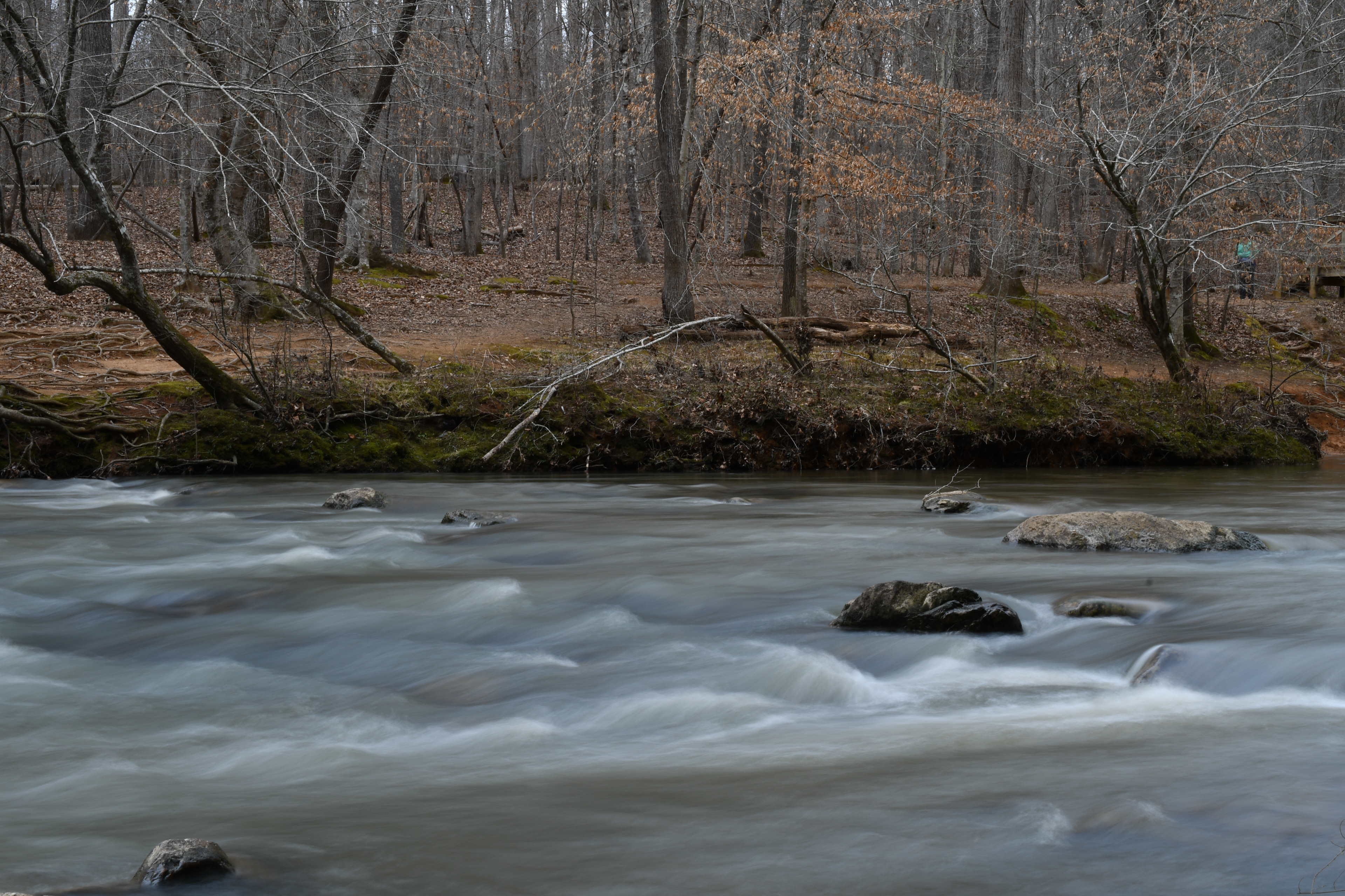 "Eno River" - 02/06/2021 - Eno River State Park