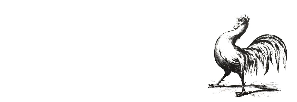 Meridienne design+fabrication