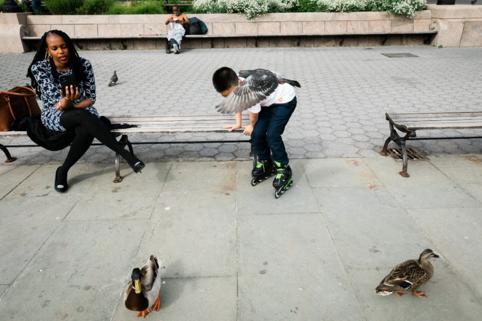 Sinna Nasseri for The New York Times. For the Birds. (2022)
