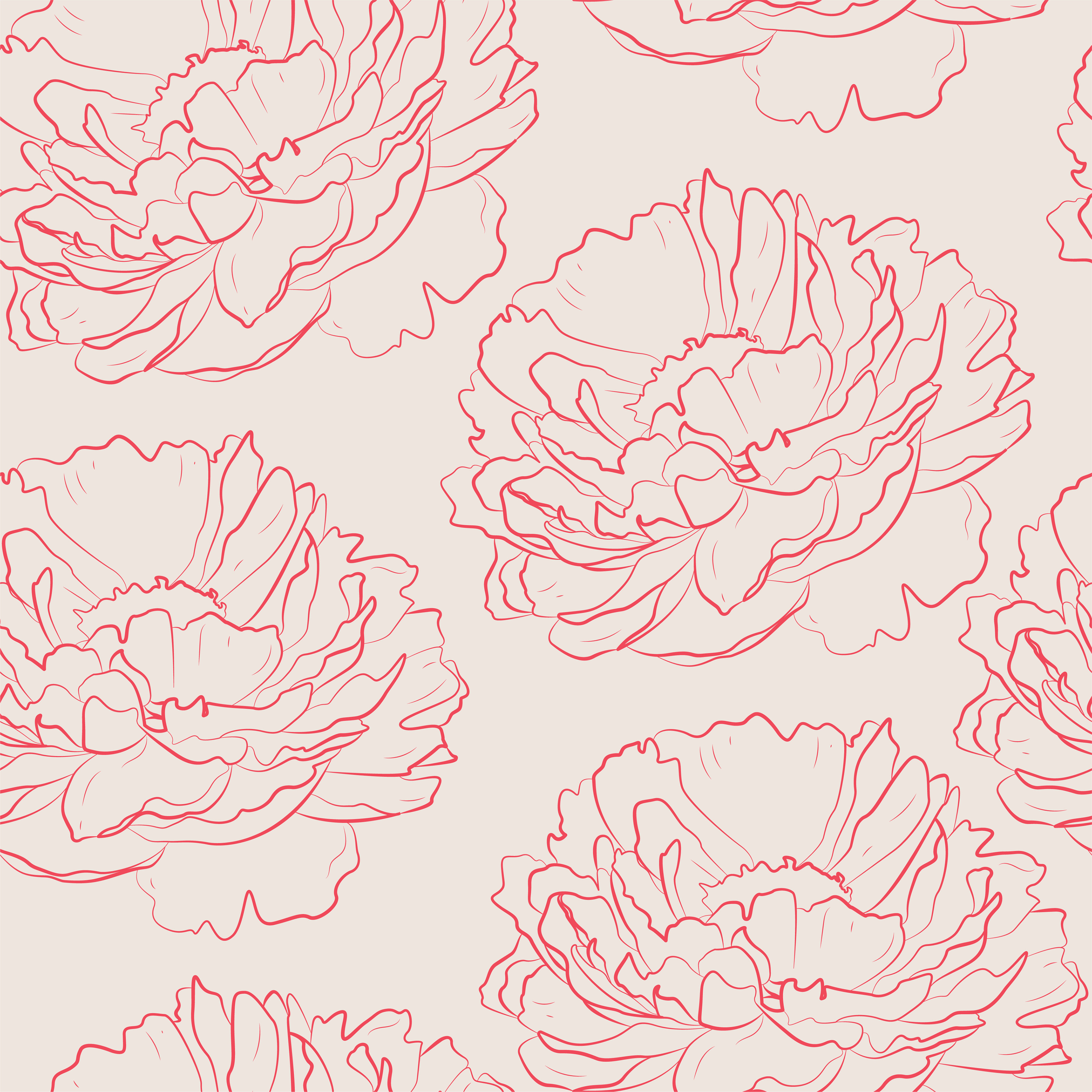 Blooming peony