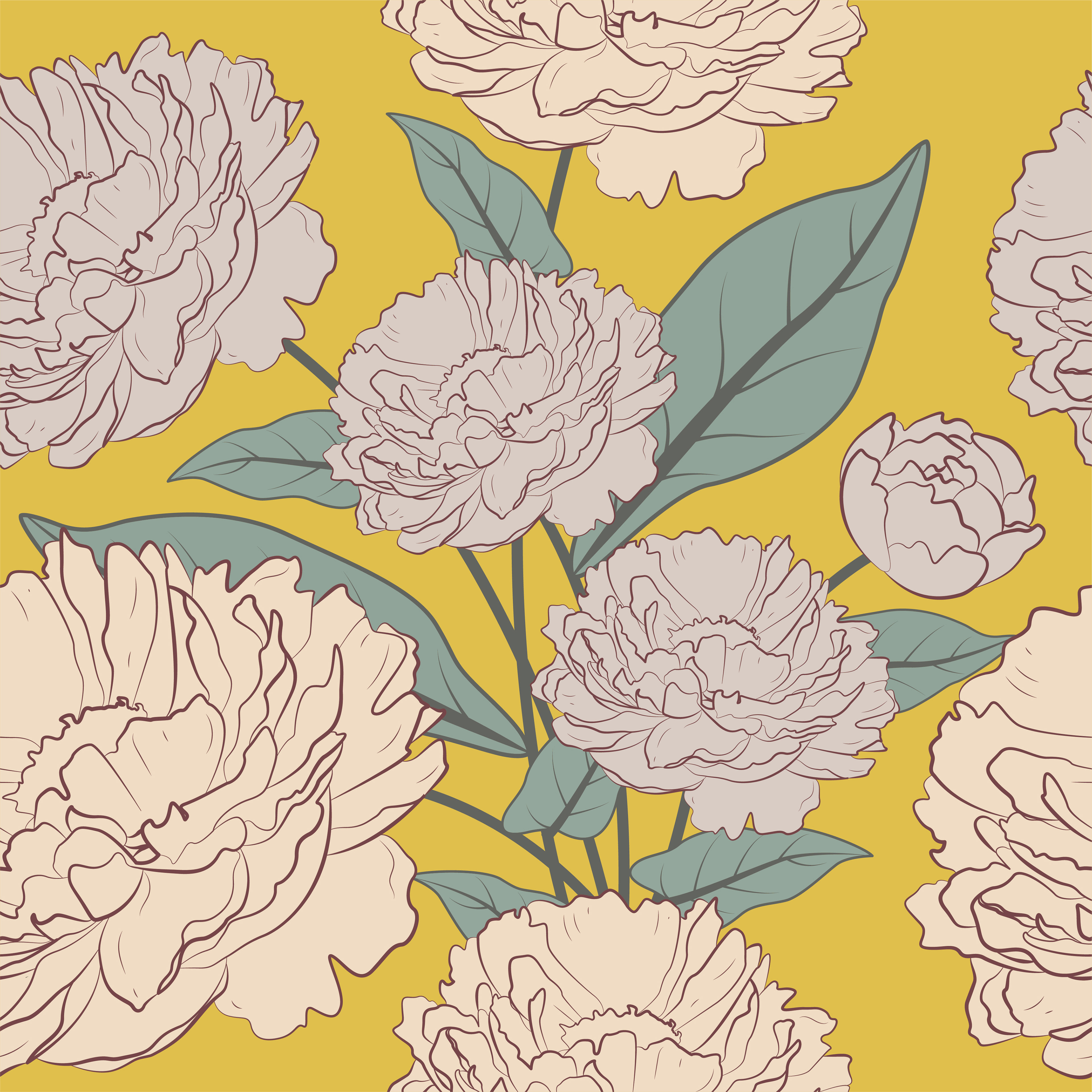 Growing peony flower