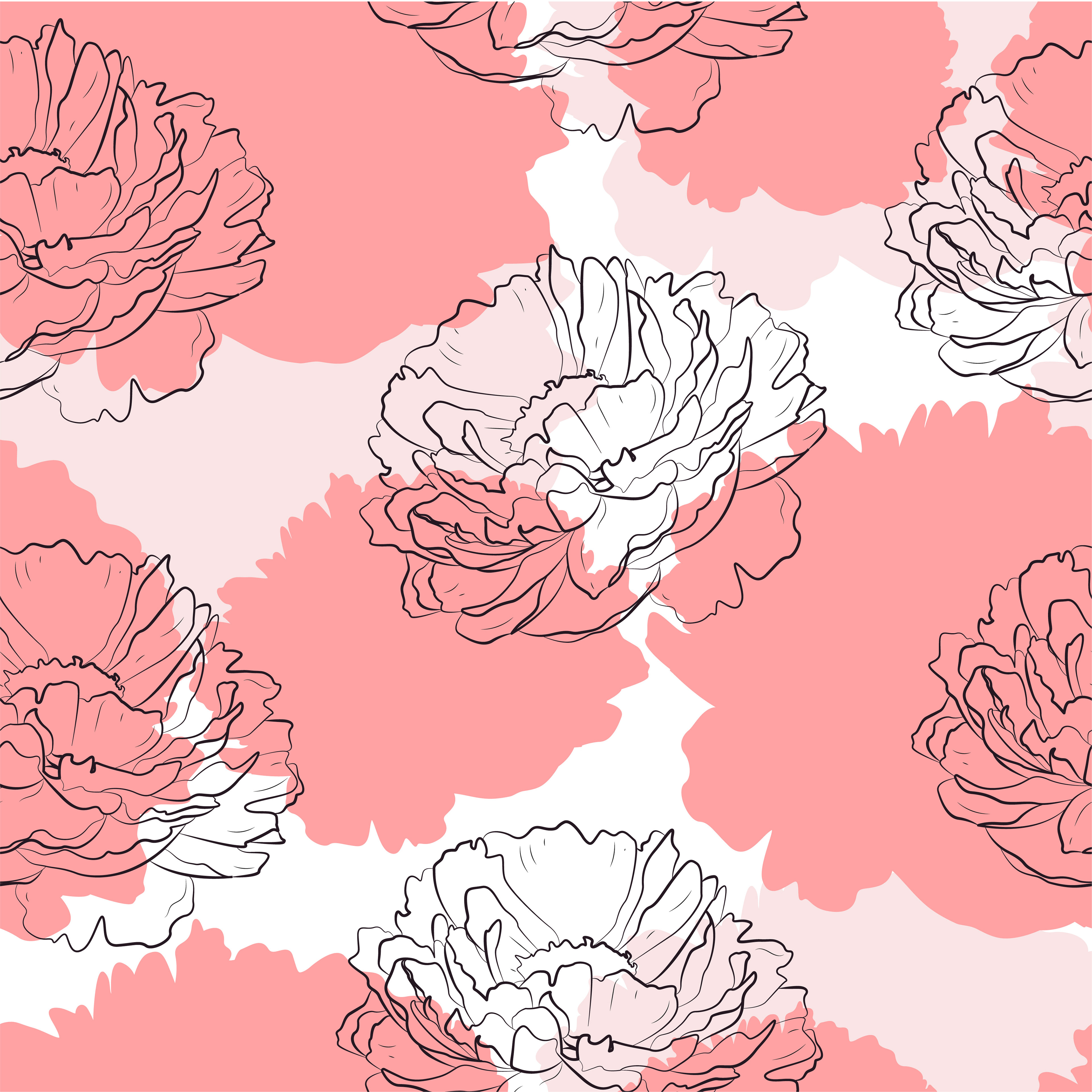 The peony with shadow