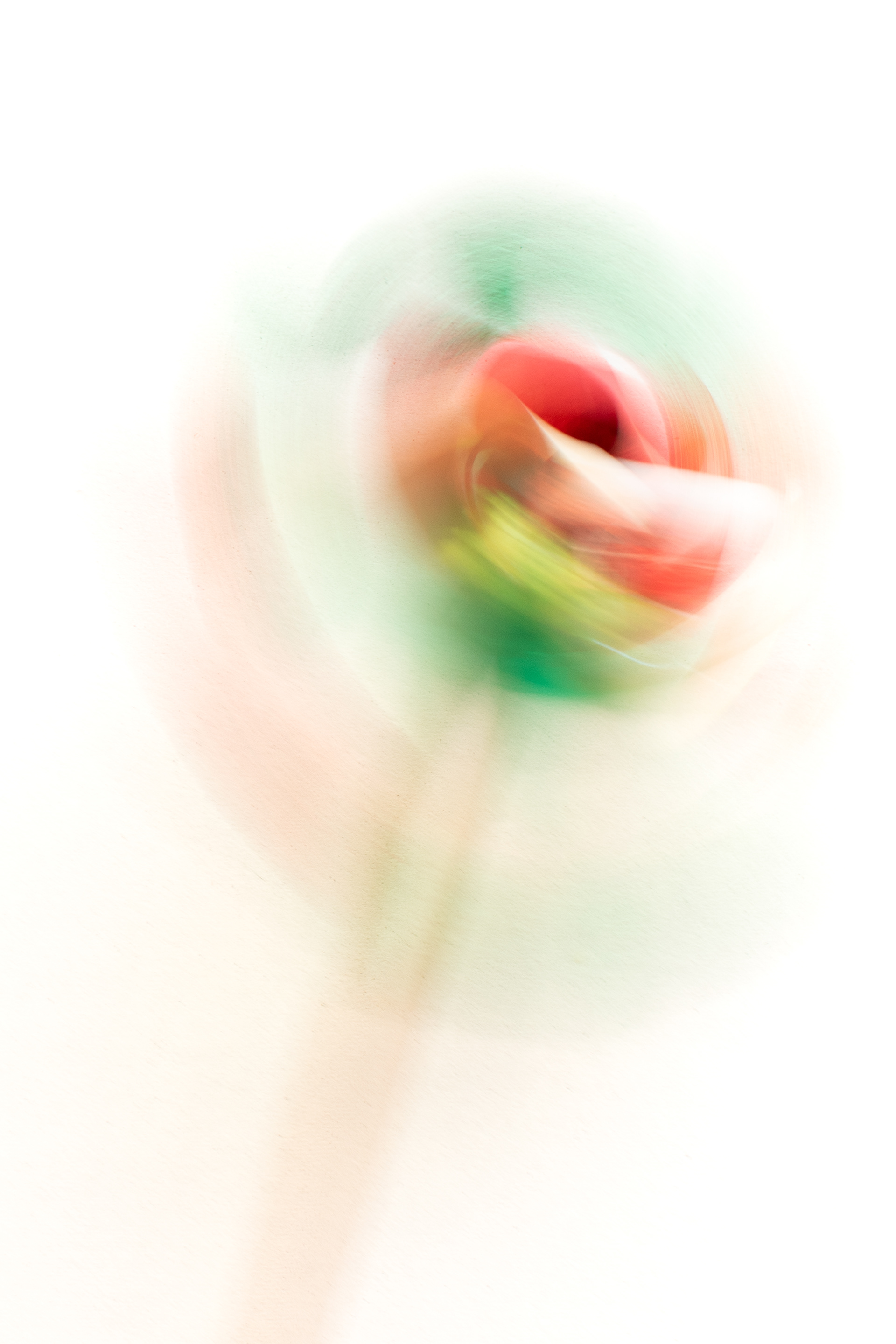 Flor
