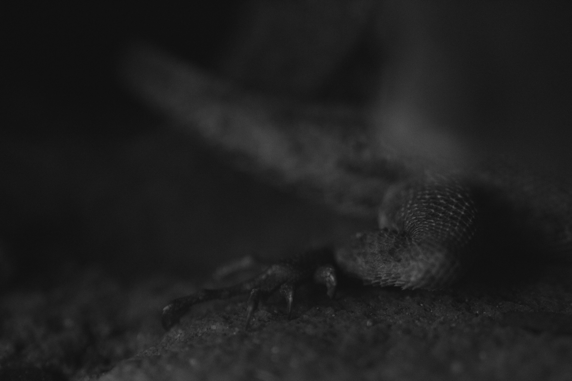 Uganda 2015