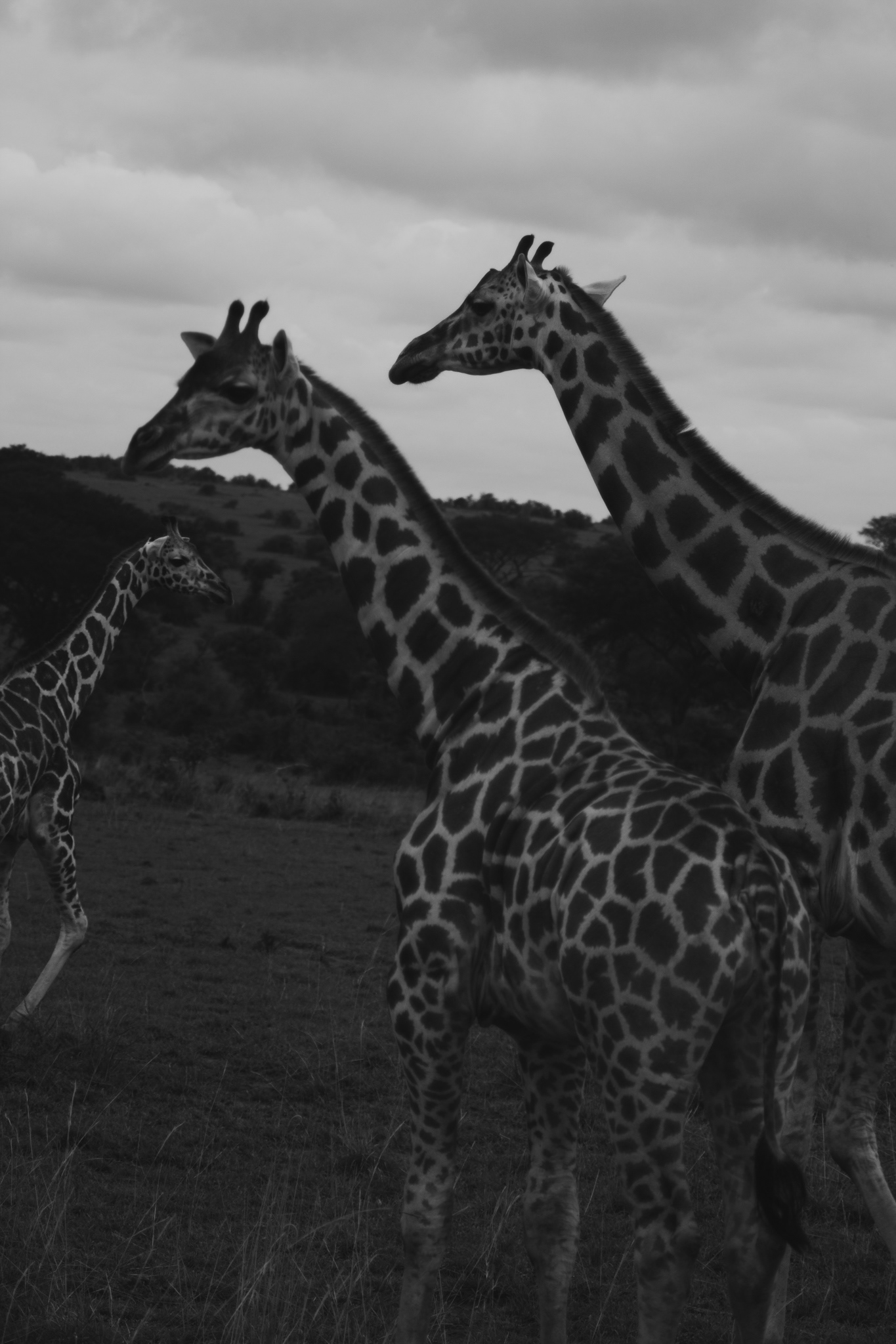 Uganda 2015