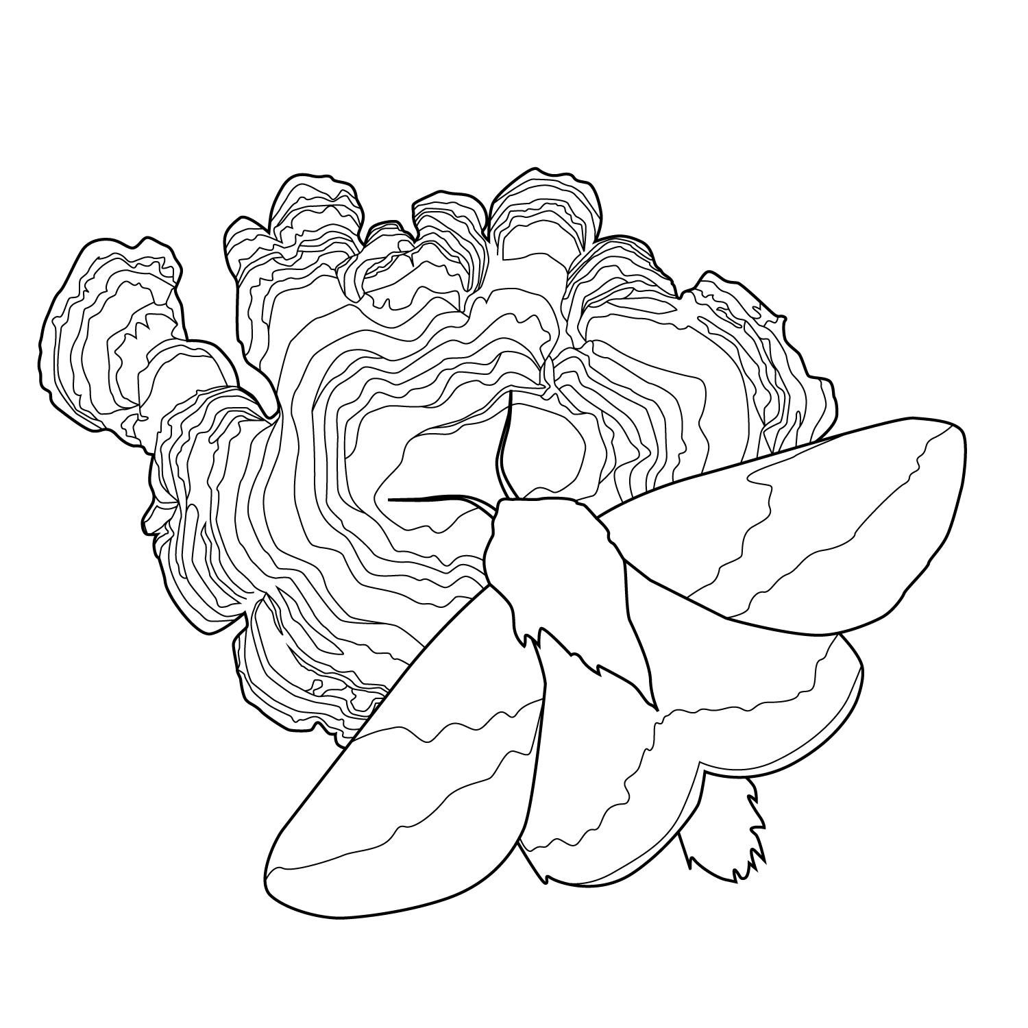 REMEDIATION iteration 1 - Natalie S.