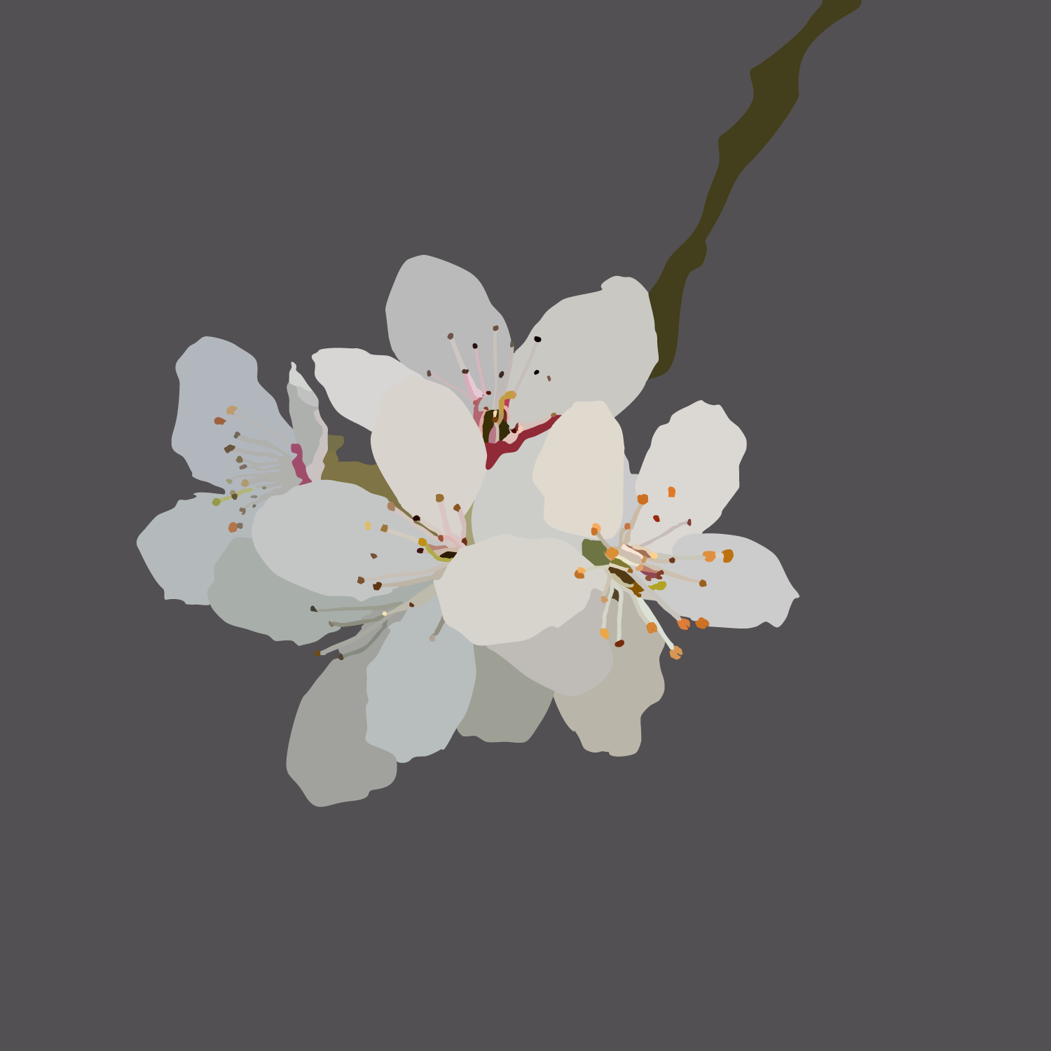 REMEDIATION iteration 2 - Nalani G.