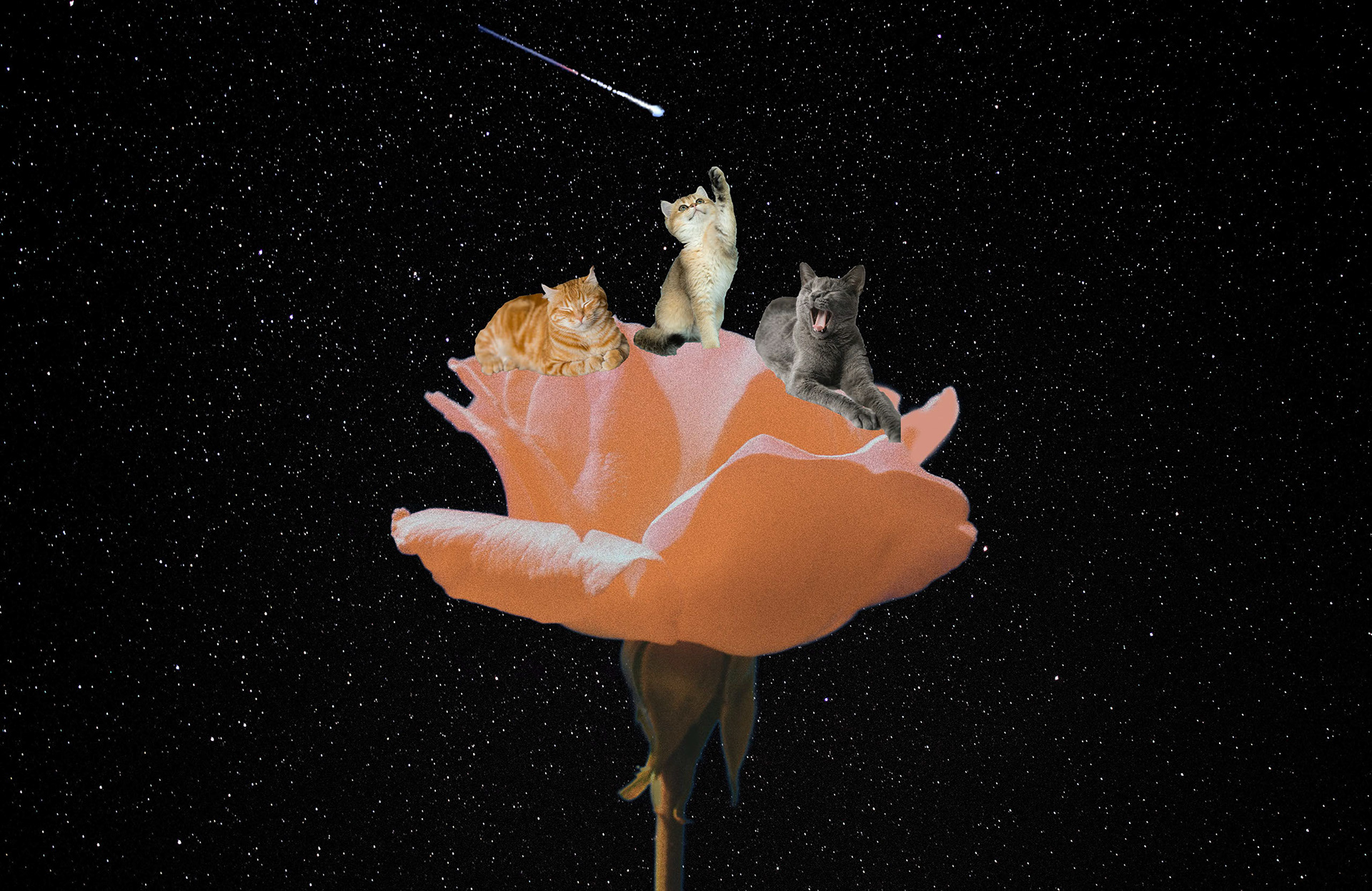 REMIX iteration 2 - Gabriella G.