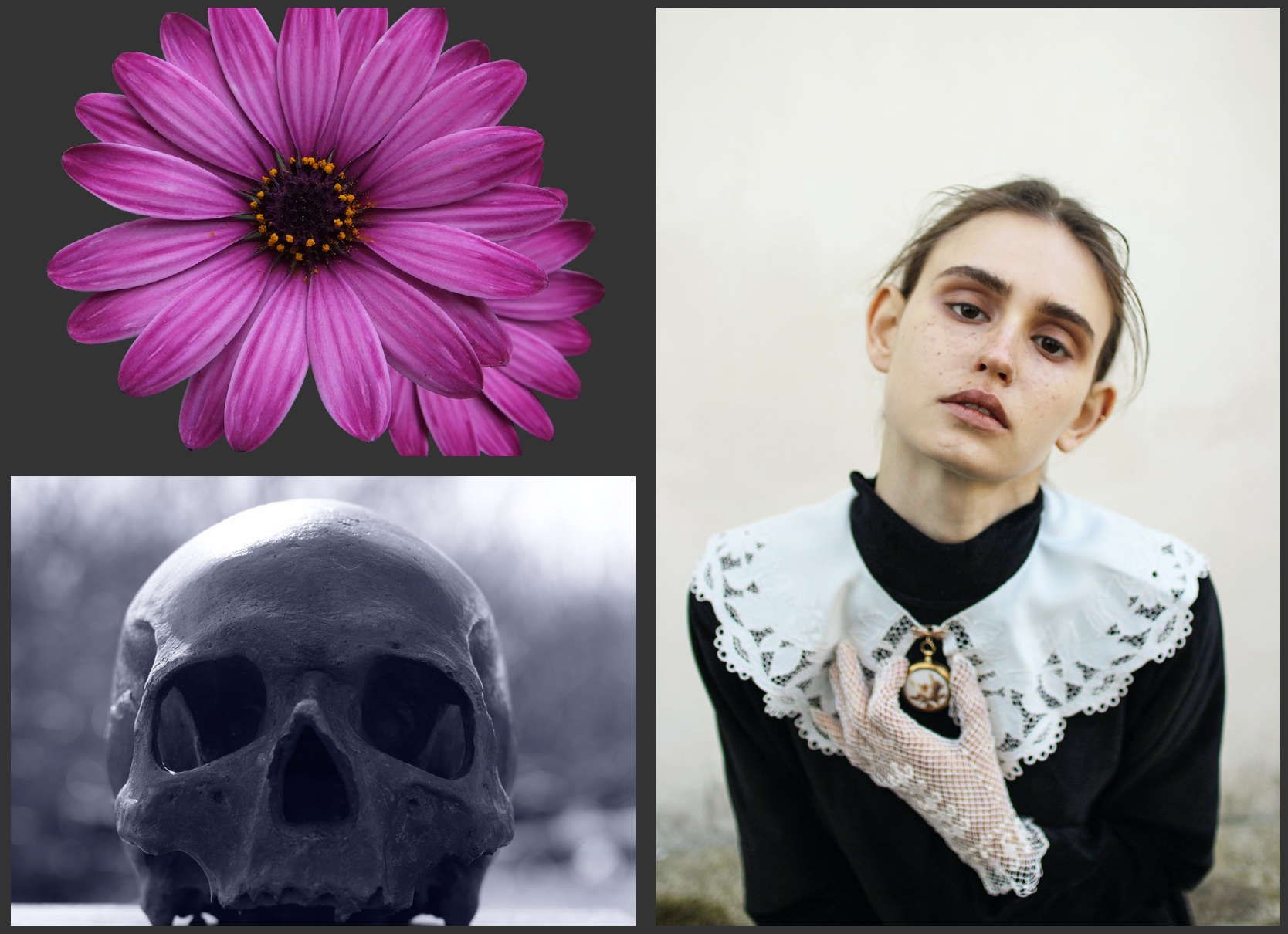 FINAL source images - Alex J.