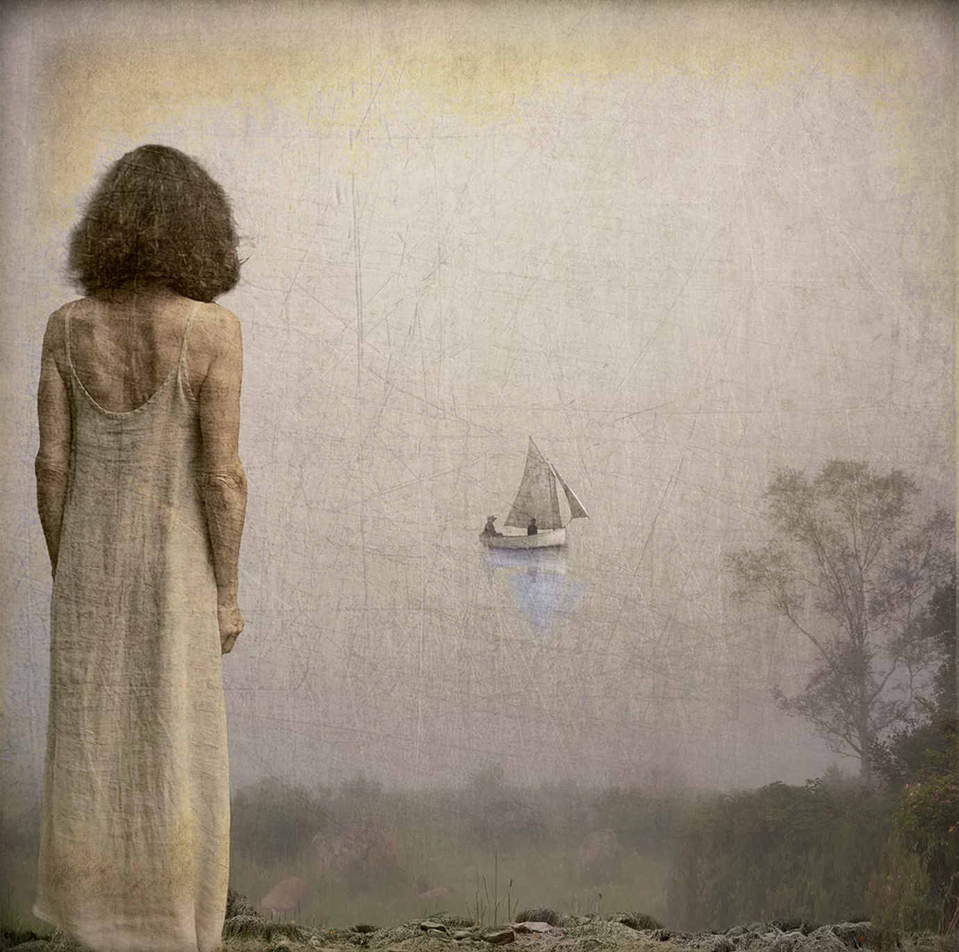 Fran Forman