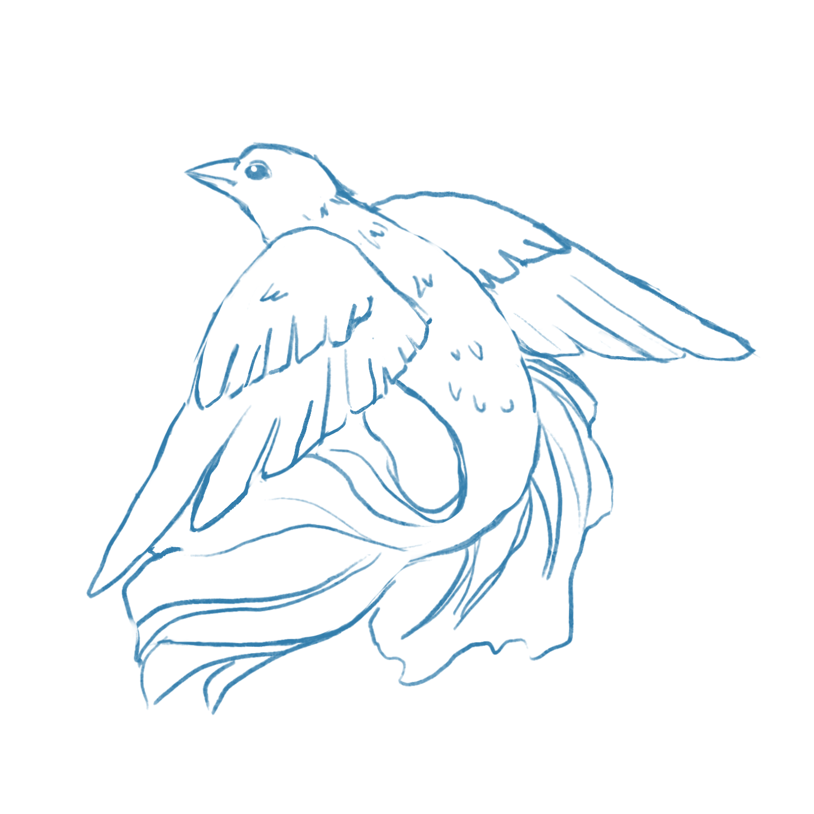 FINAL iteration 1 - Paige T.