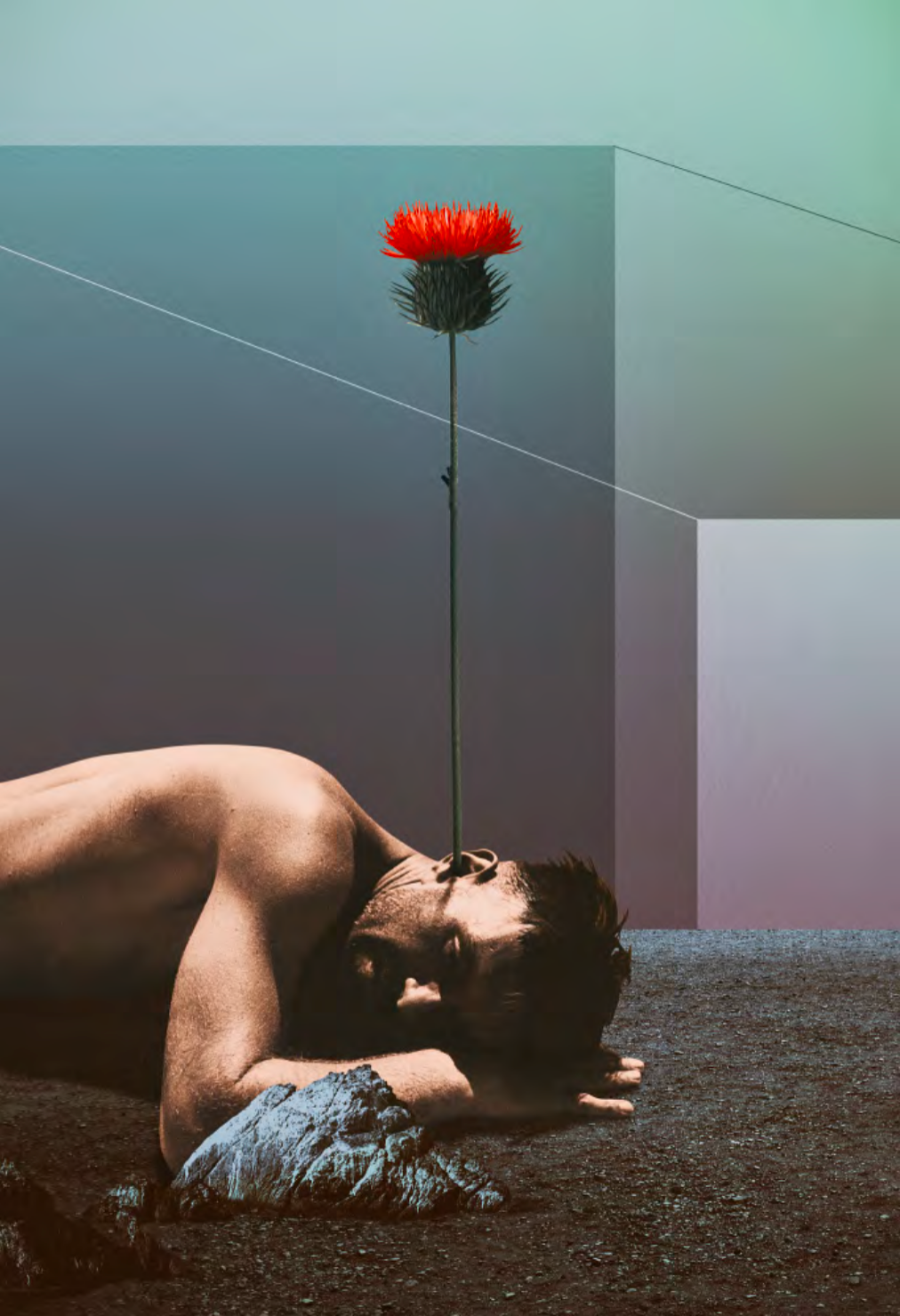 Julien Pacaud