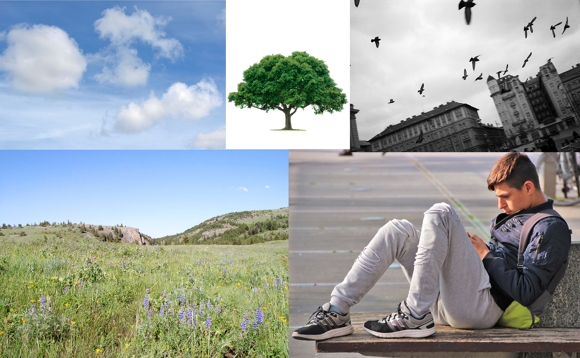 FINAL source images - Kayla C.