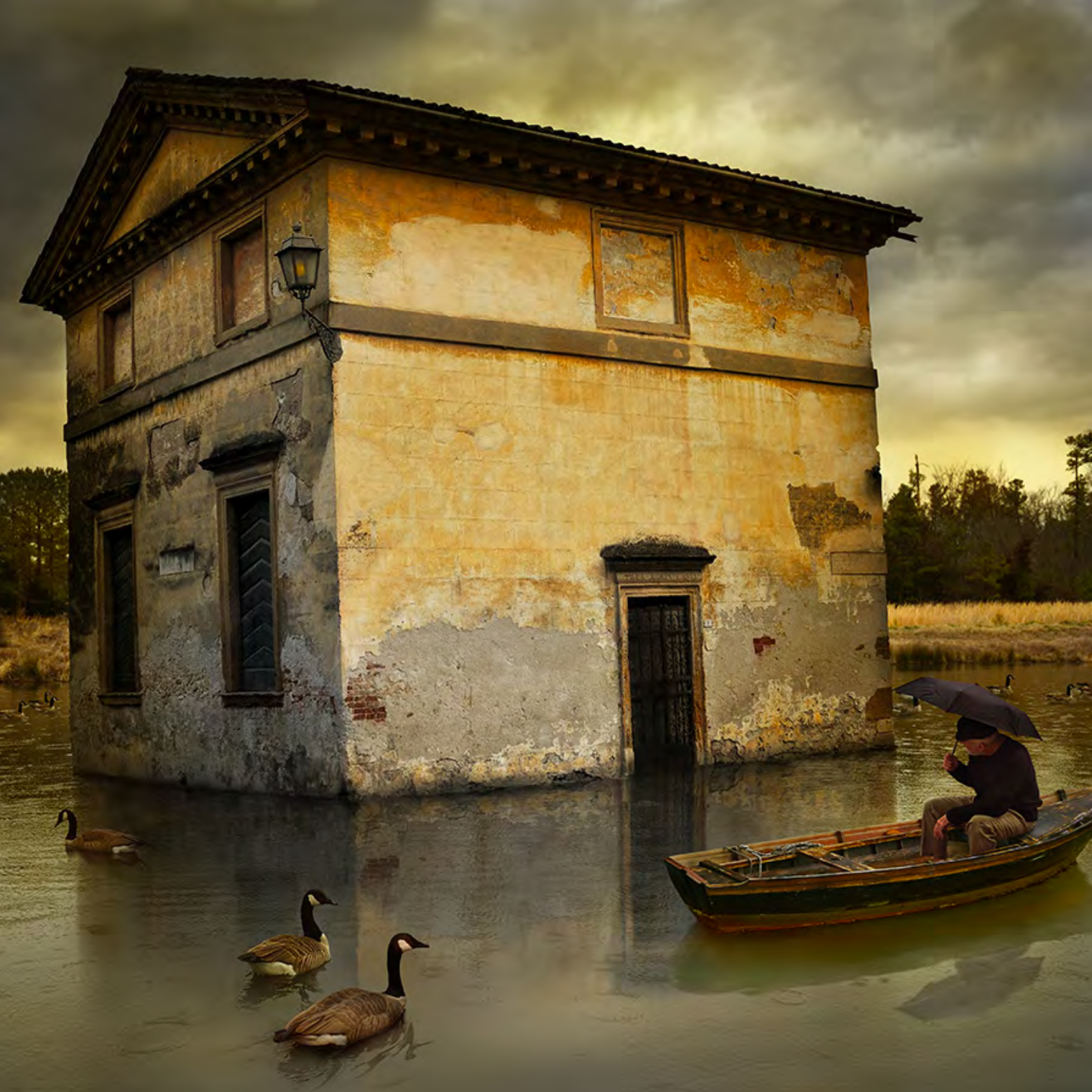 Tom Chambers