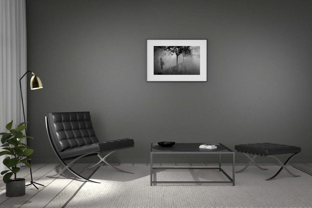 tirage 50x75cm dans un cadre 70x100cm