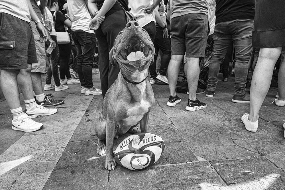 Préfère le football (exemplaire 2/7)