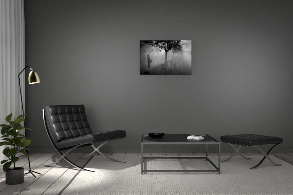 Tirage contre-collé sur alu dibond 60x90cm