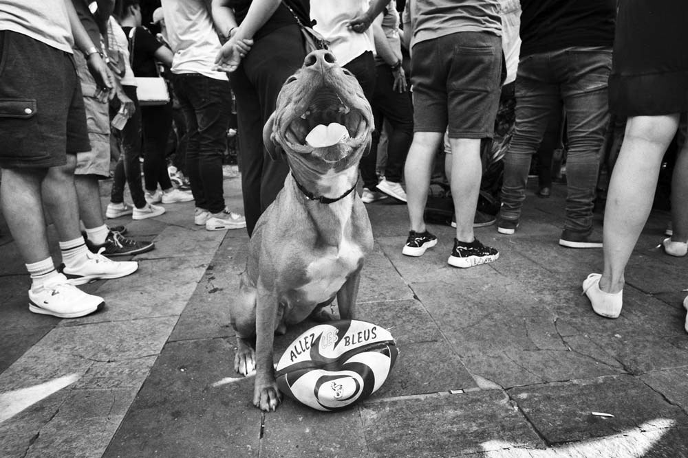 Préfère le football