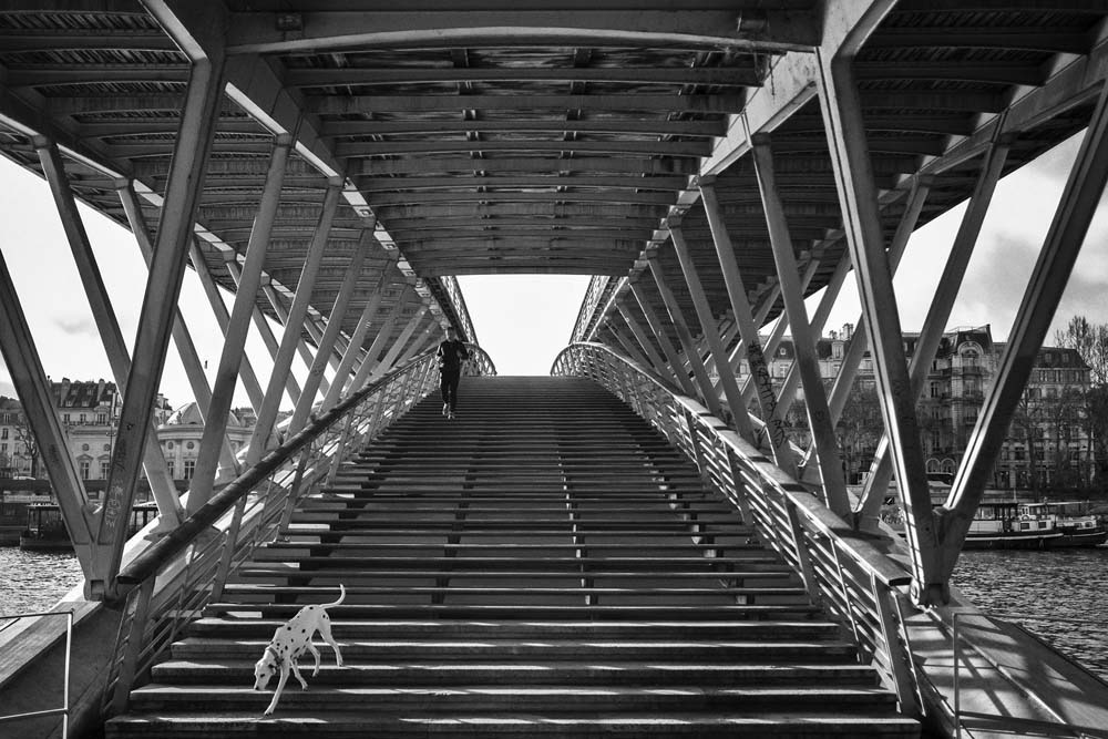 Passerelle dalmatienne