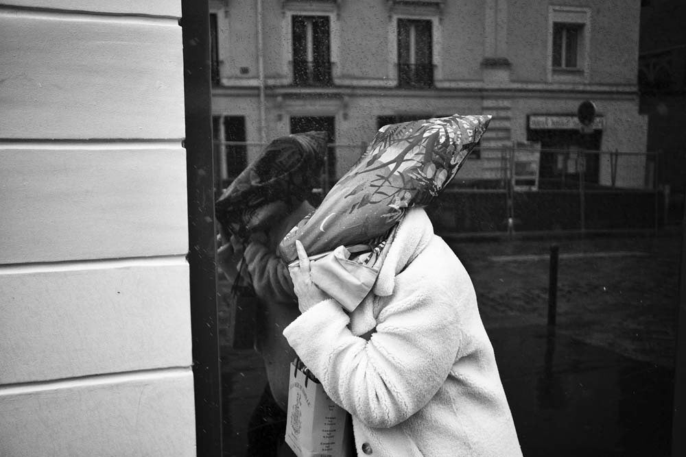 Ptéranodon dans le vent