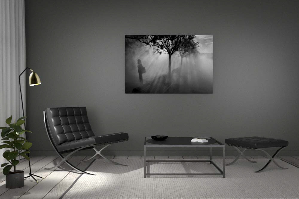 Tirage contre-collé sur alu dibond 100x150cm