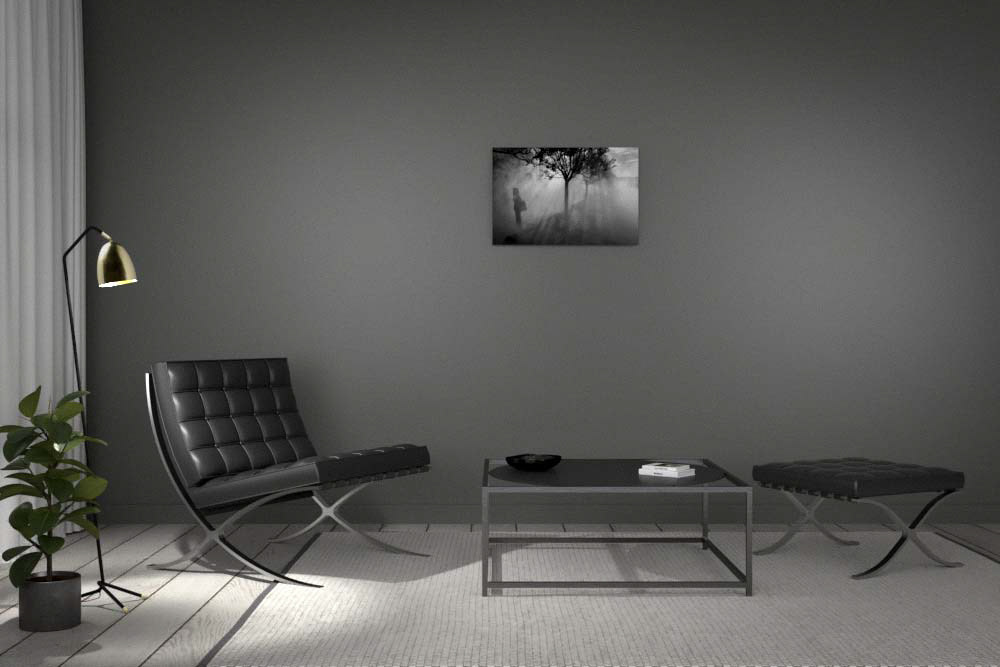 Tirage contre-collé sur alu dibond 50x75cm
