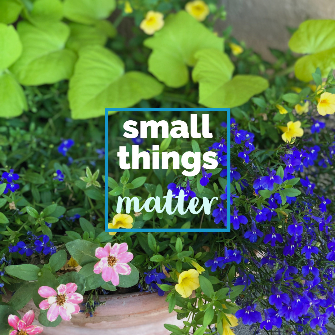 COVID Mood Booster series. © 2025, Specialty Incentives, Inc 