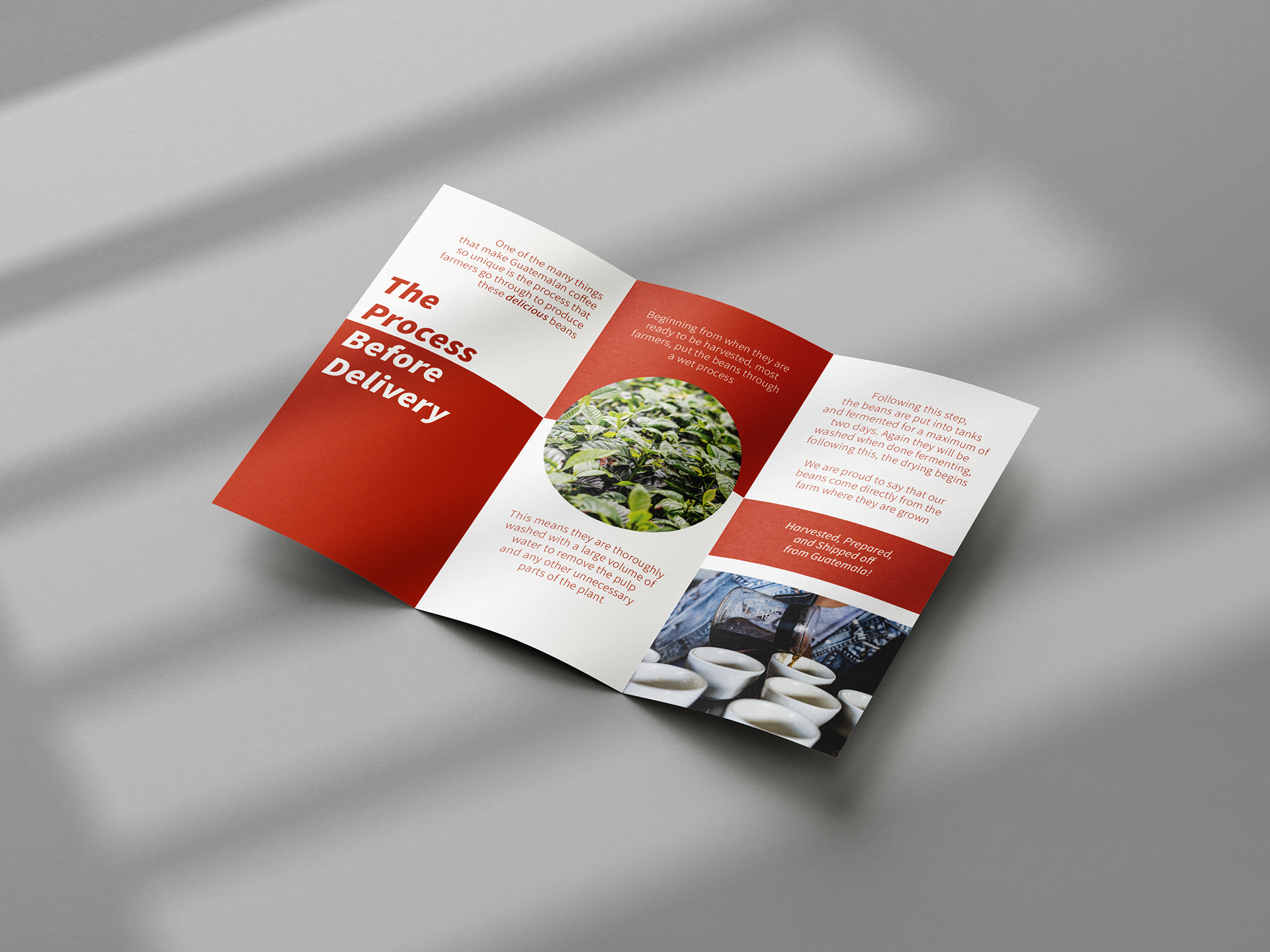 Inside Brochure