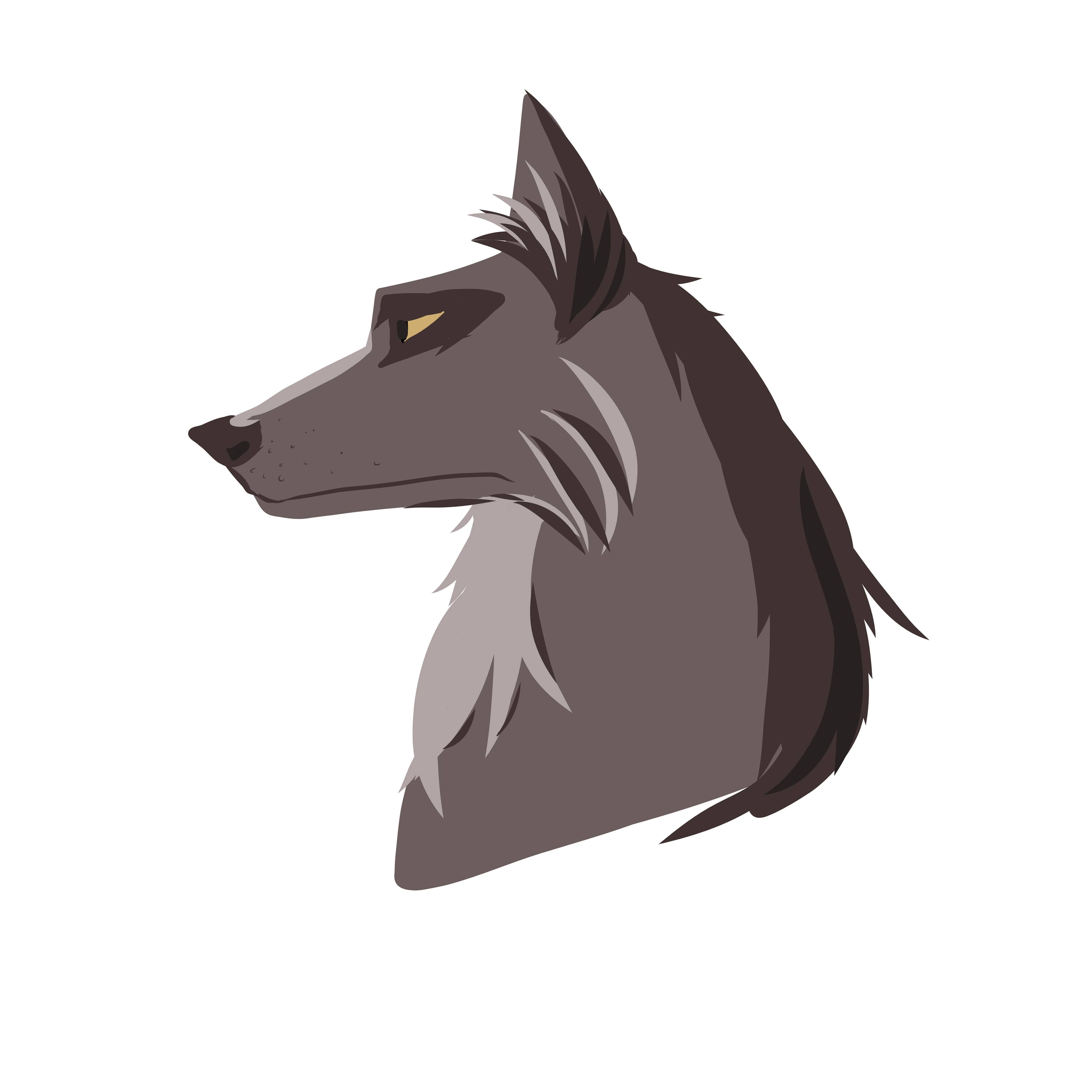 Vector Drawing of a Wolf