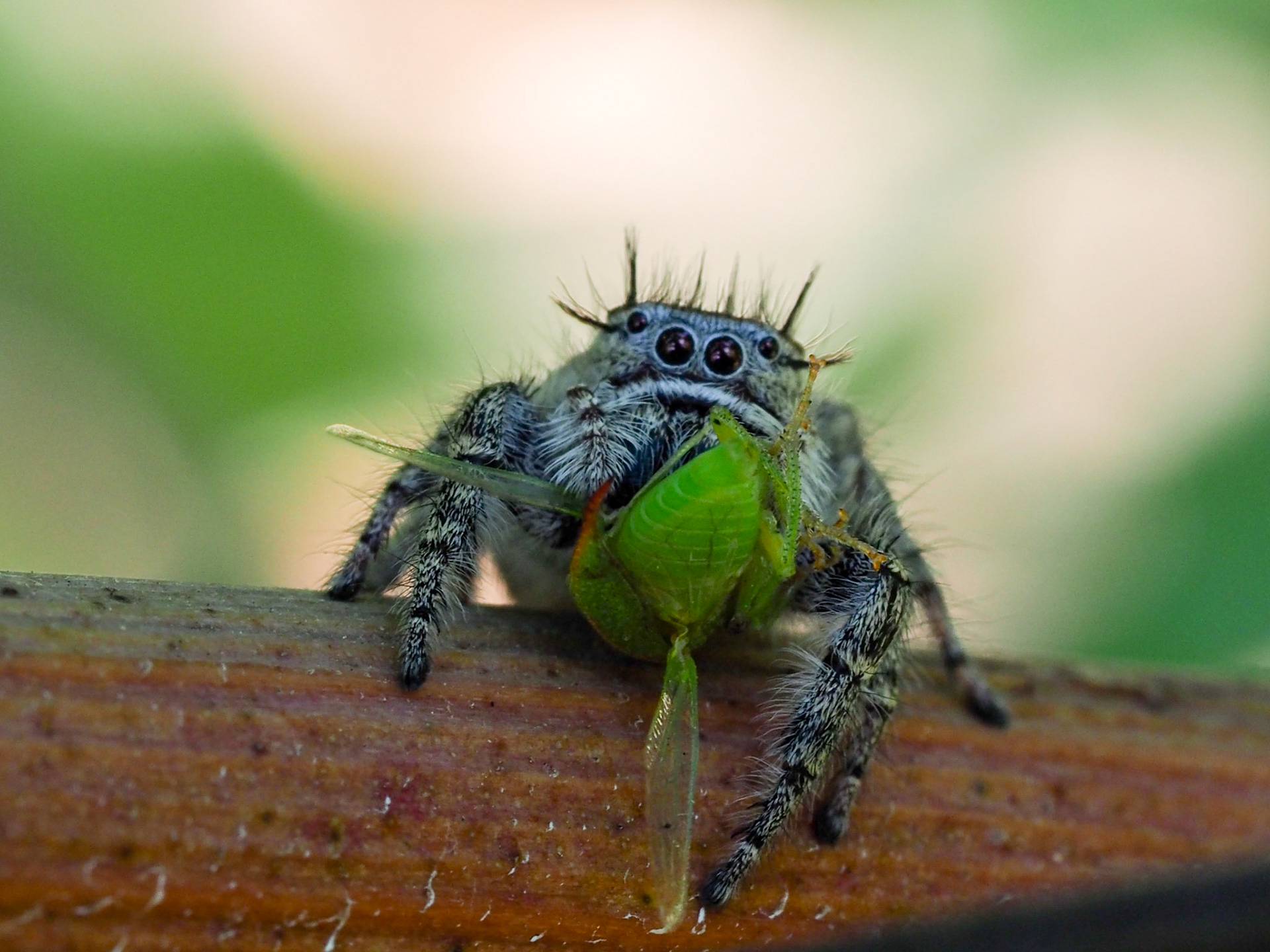 Biodiversity at work