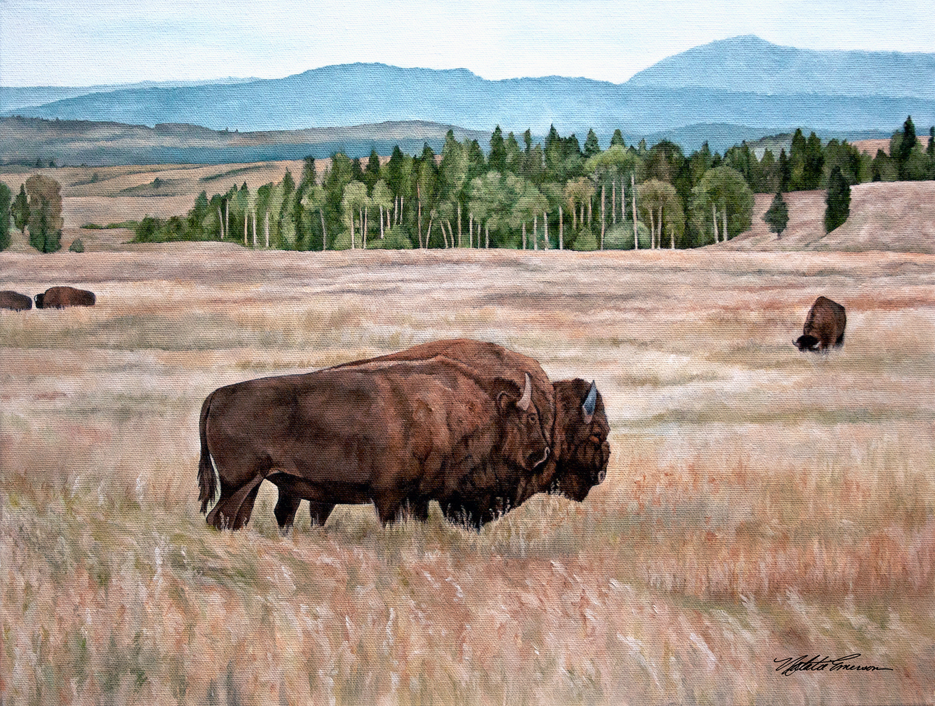 Yellowstone Bison 18x24 Oil Painting