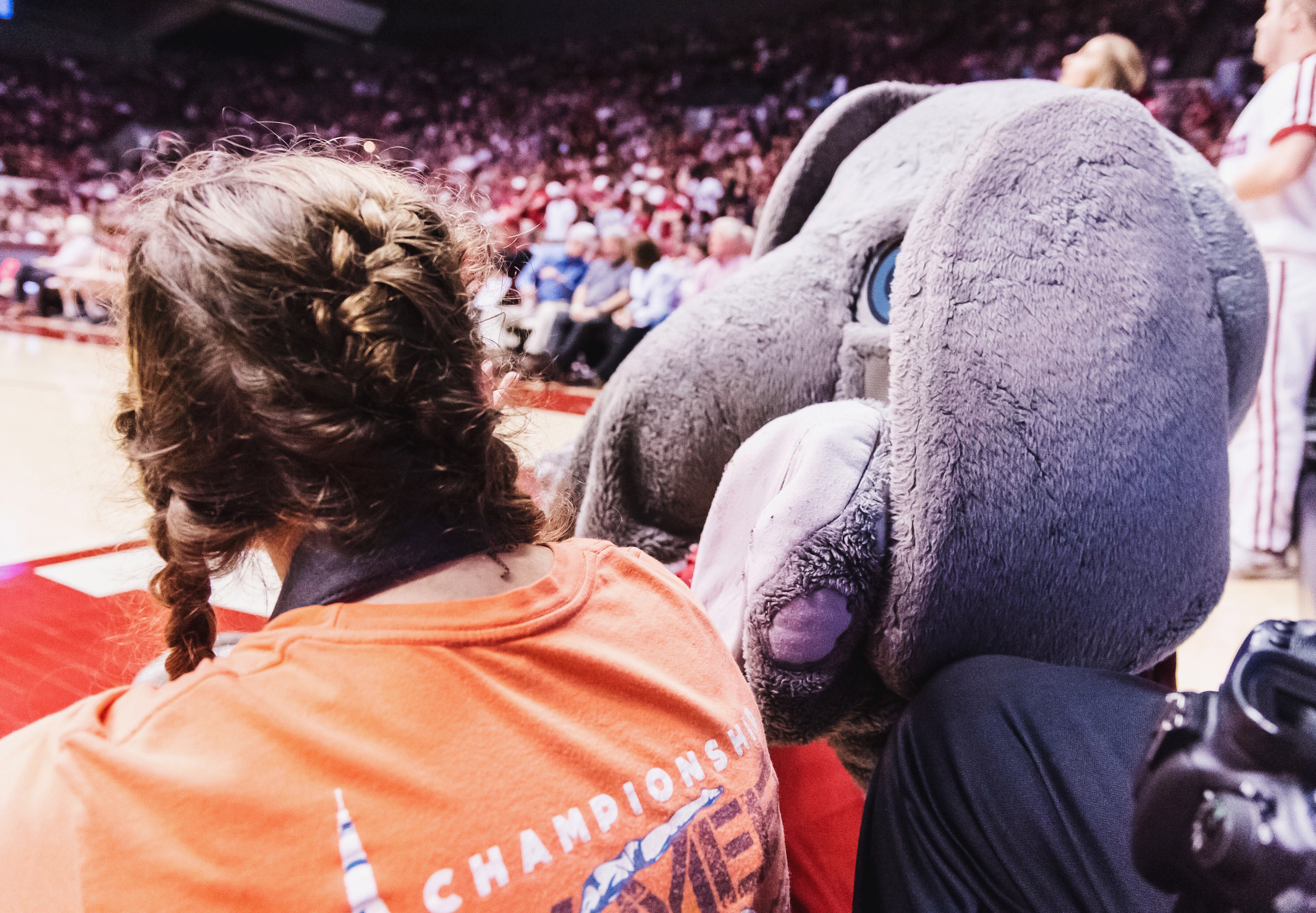Coleman Coliseum | Alabama Men's Basketball | Photo by Vasha Hunt