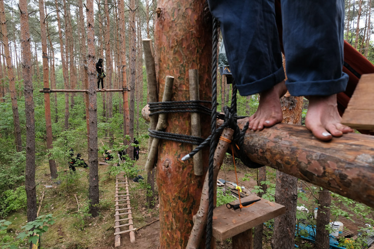 Wuhlheide Forest Occupation, Berlin, May 2023