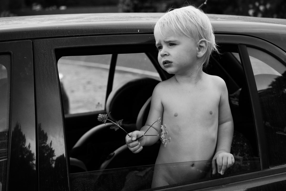 Miko. Golden Bay, New Zealand, December 2019