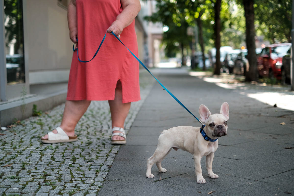 Prenzlauer Berg