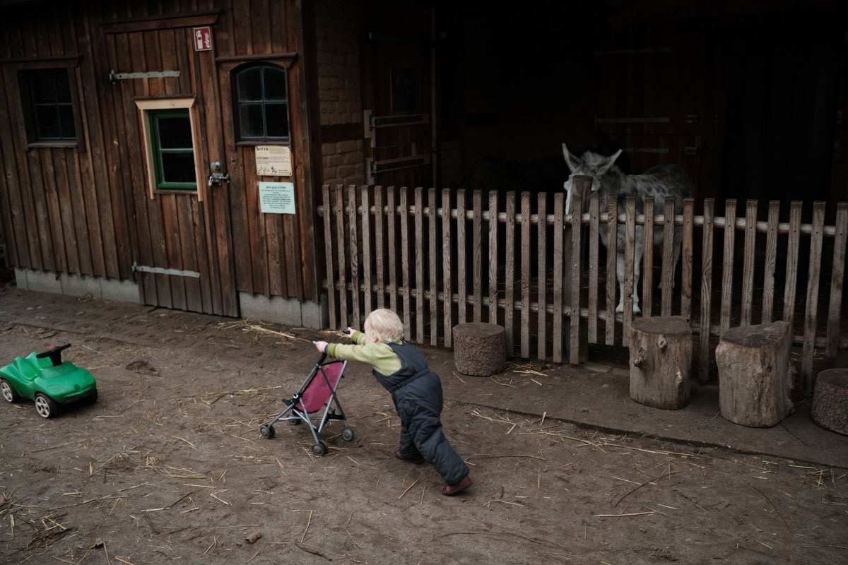 Animal farm Pinke Panke, Berlin, December 2022