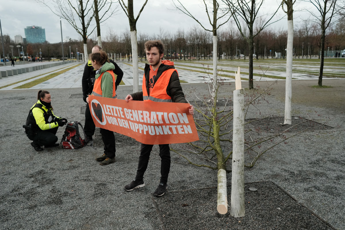Activists cut down a tree infront of the German chancellery