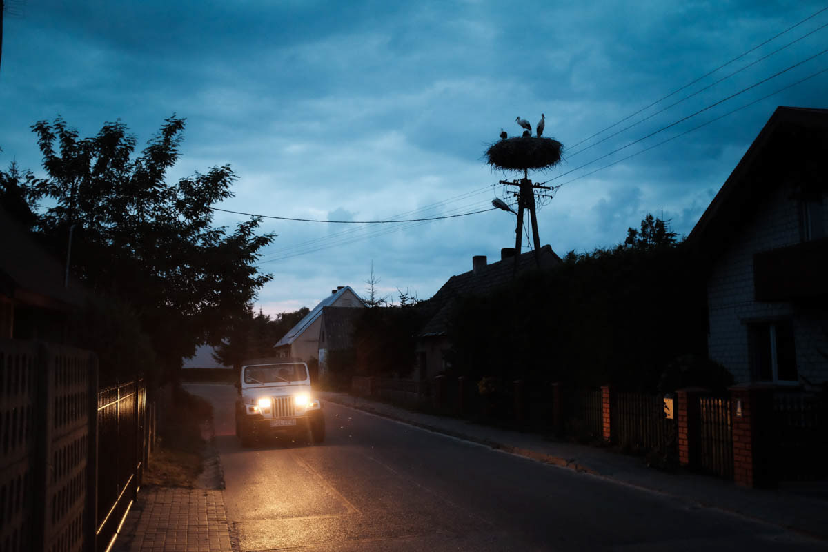 Storks nest in Poznań, Poland, August 2021