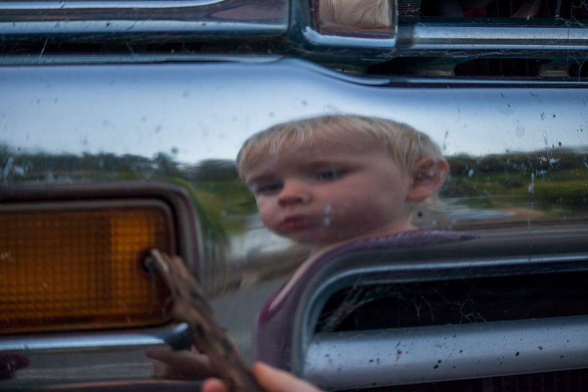 Miko. Nelson, New Zealand, February 2020