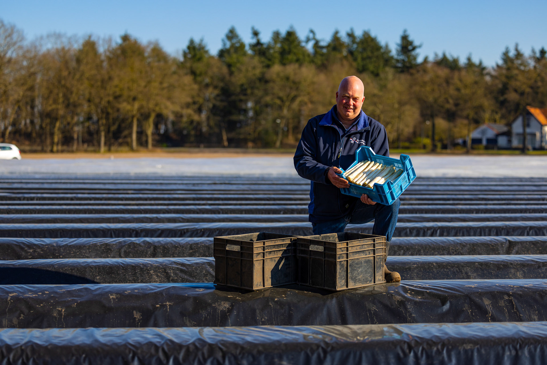 JUMBO Supermarket "our farmers" campaign - Commissioned by Studio Vij890