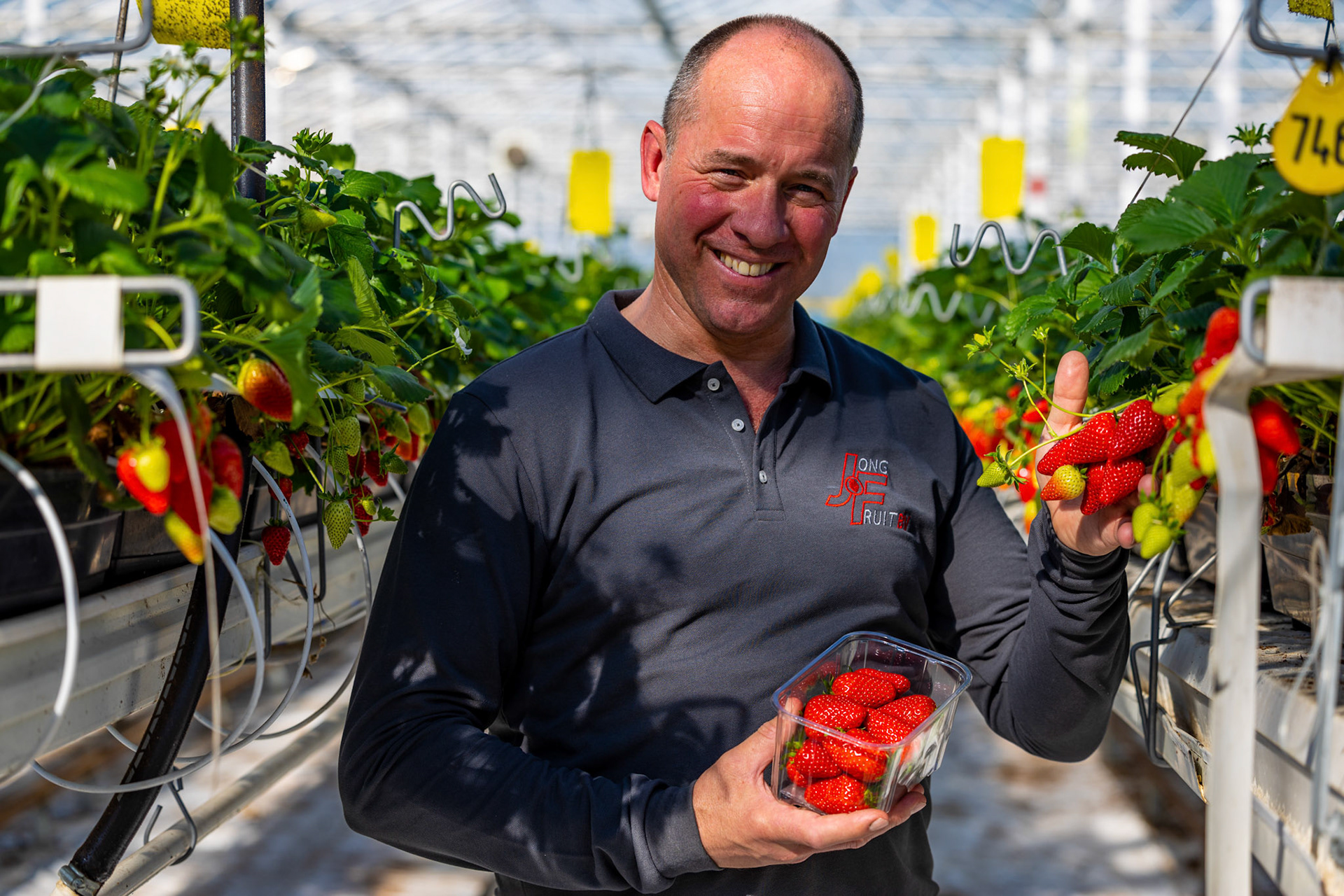 JUMBO Supermarket "our farmers" campaign - Commissioned by Studio Vij890