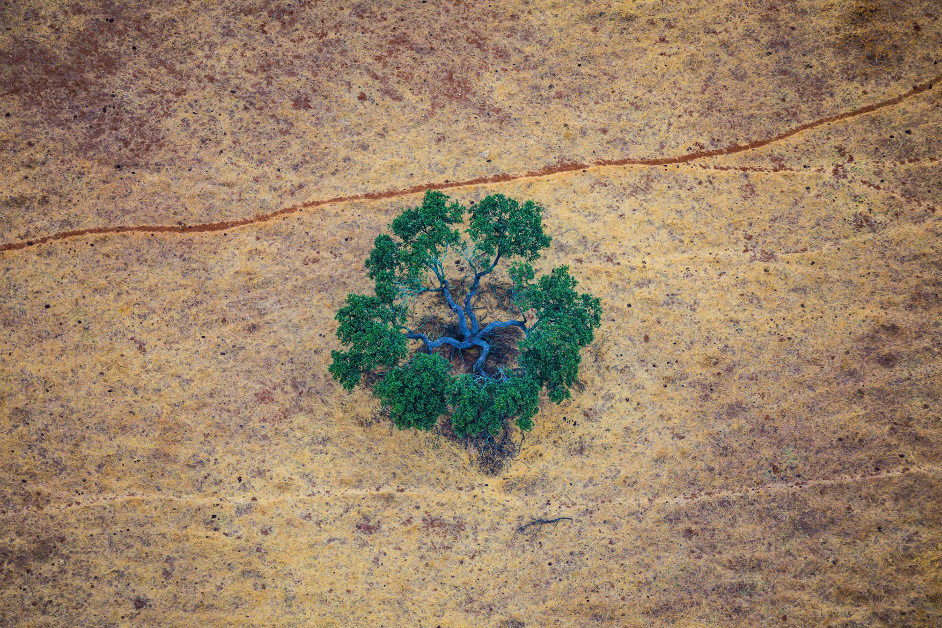 National Geographic Traveler - Dark Sky Park Portugal