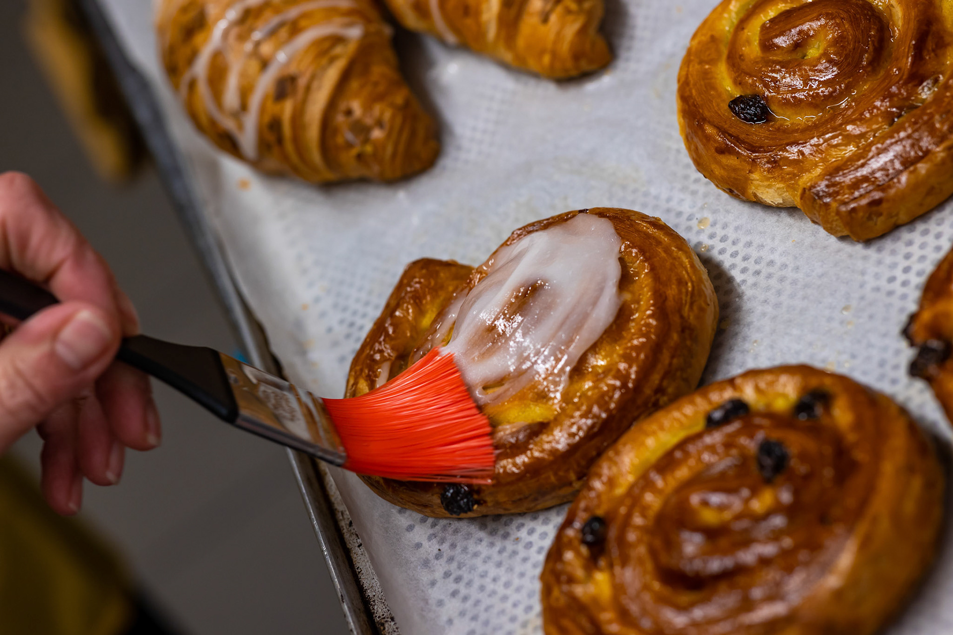 Panos - Commissioned by Chiefs of Content