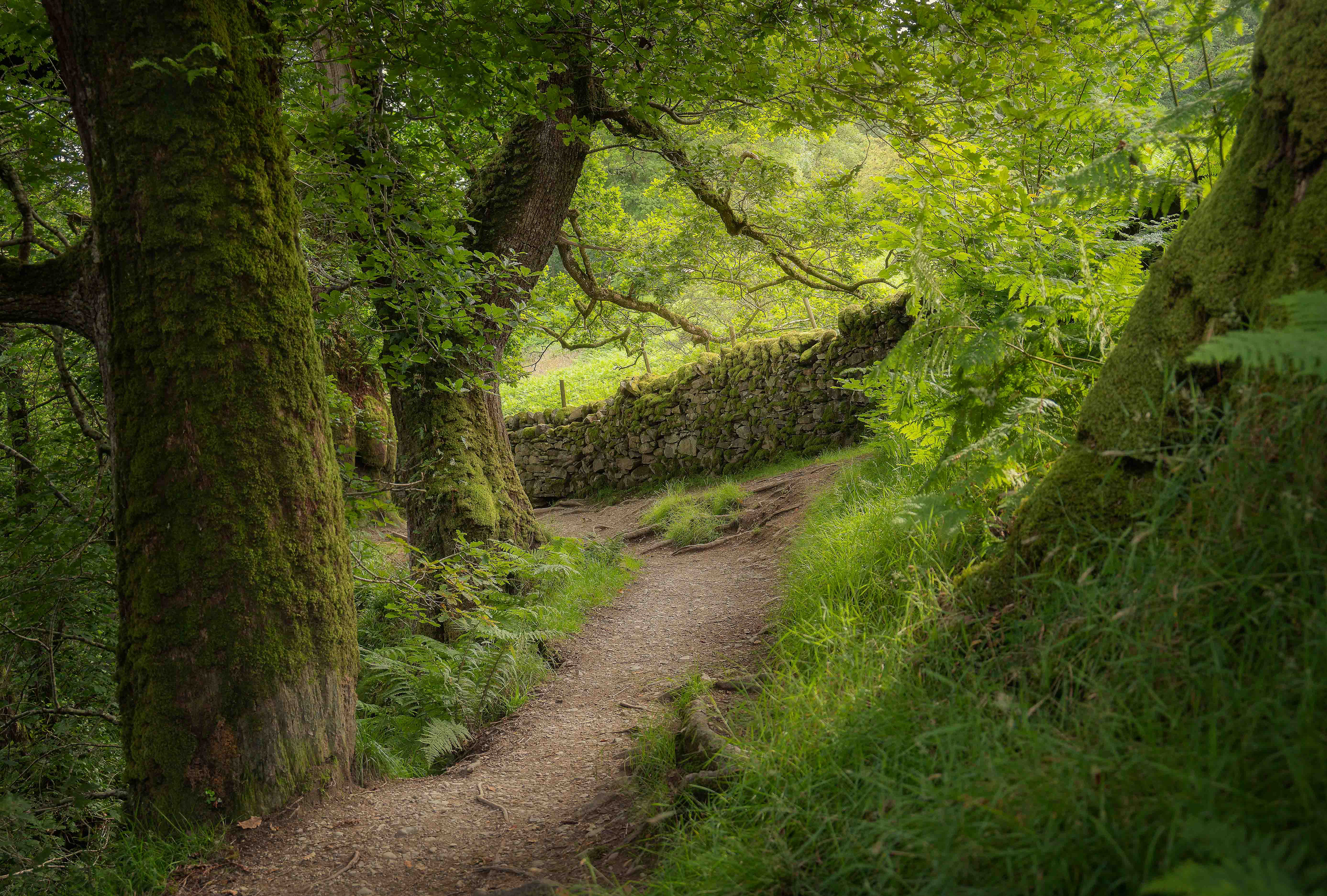Lake District 2024