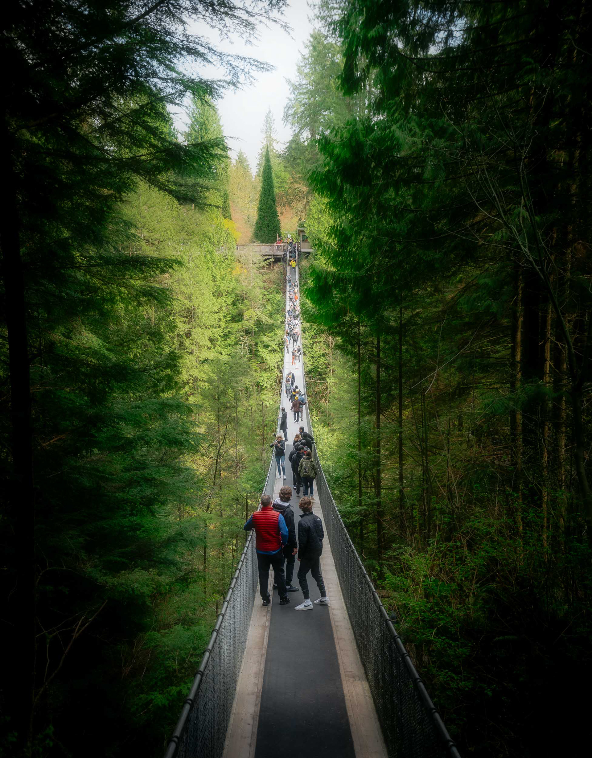 Capilano Suspension Bridge Park 2022