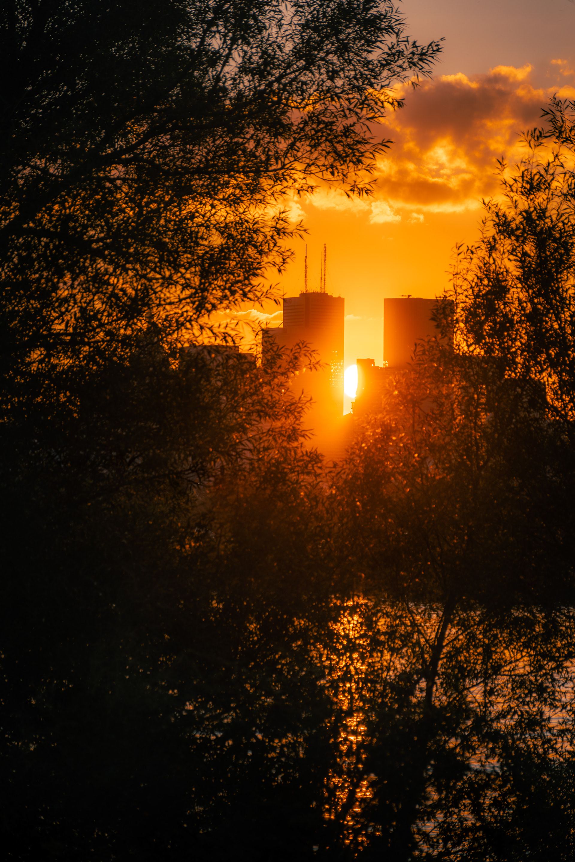 Tommy Thompson Park 2021