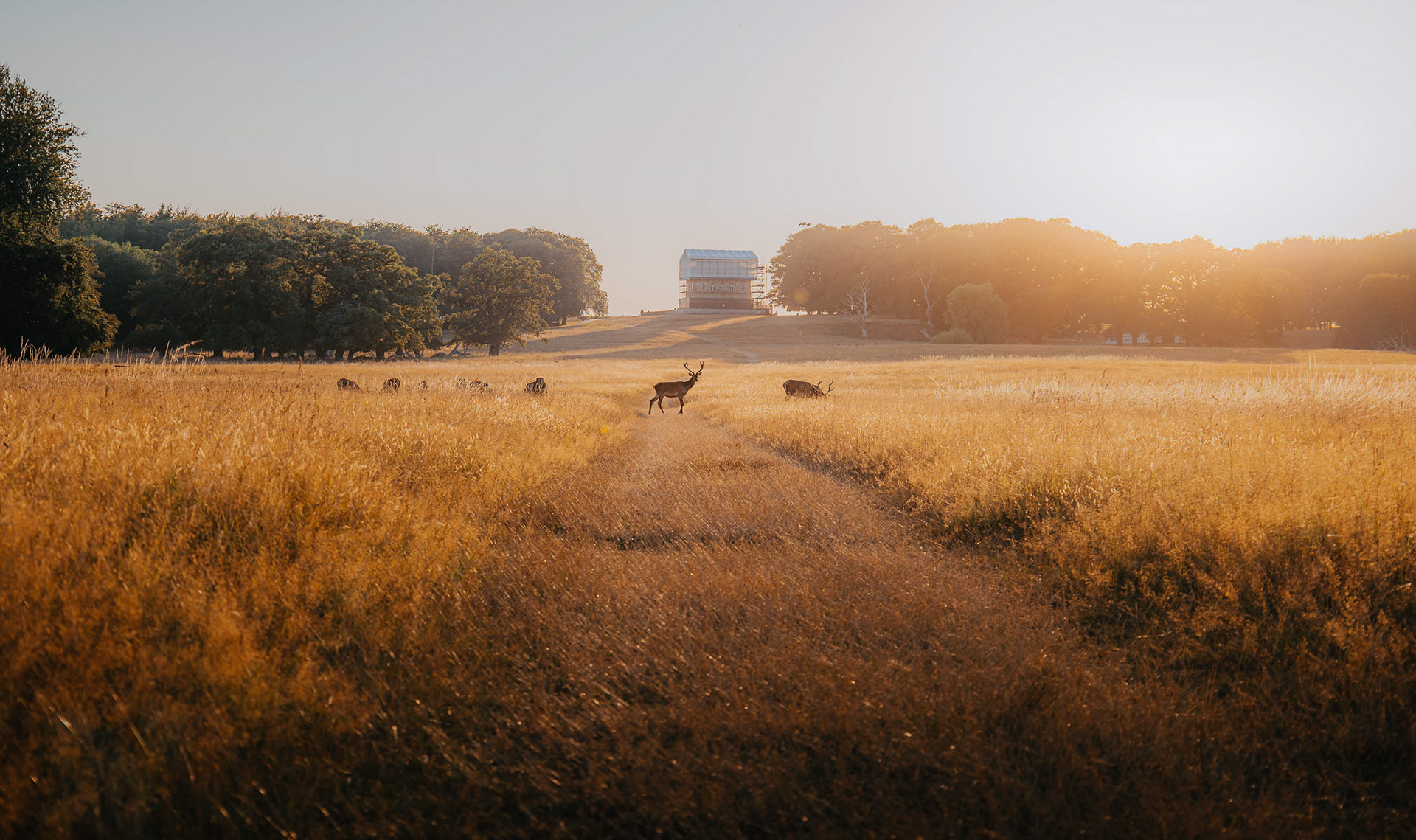 Copenhagen, Denmark 2022