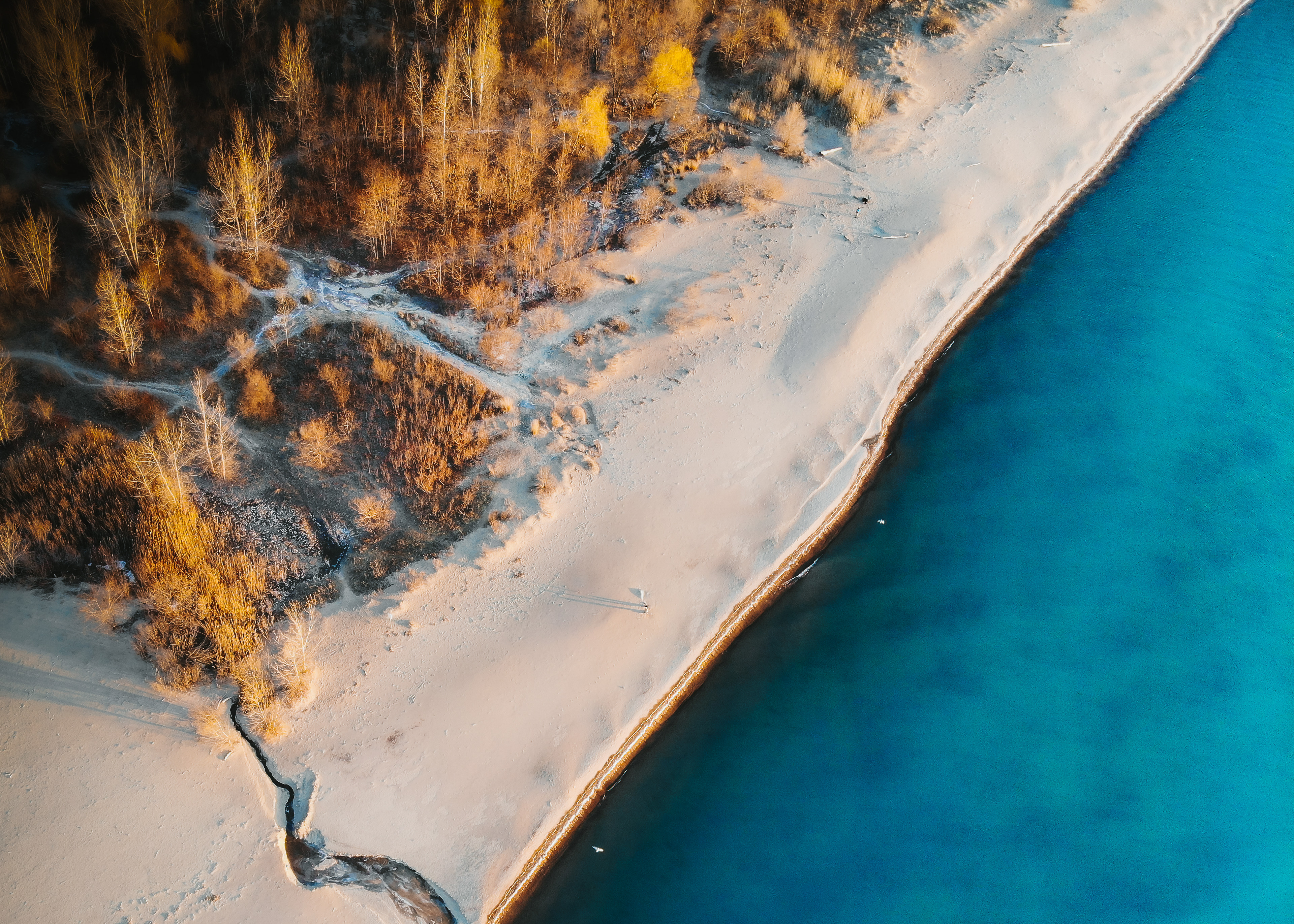 Scarborough Bluffs 2022
