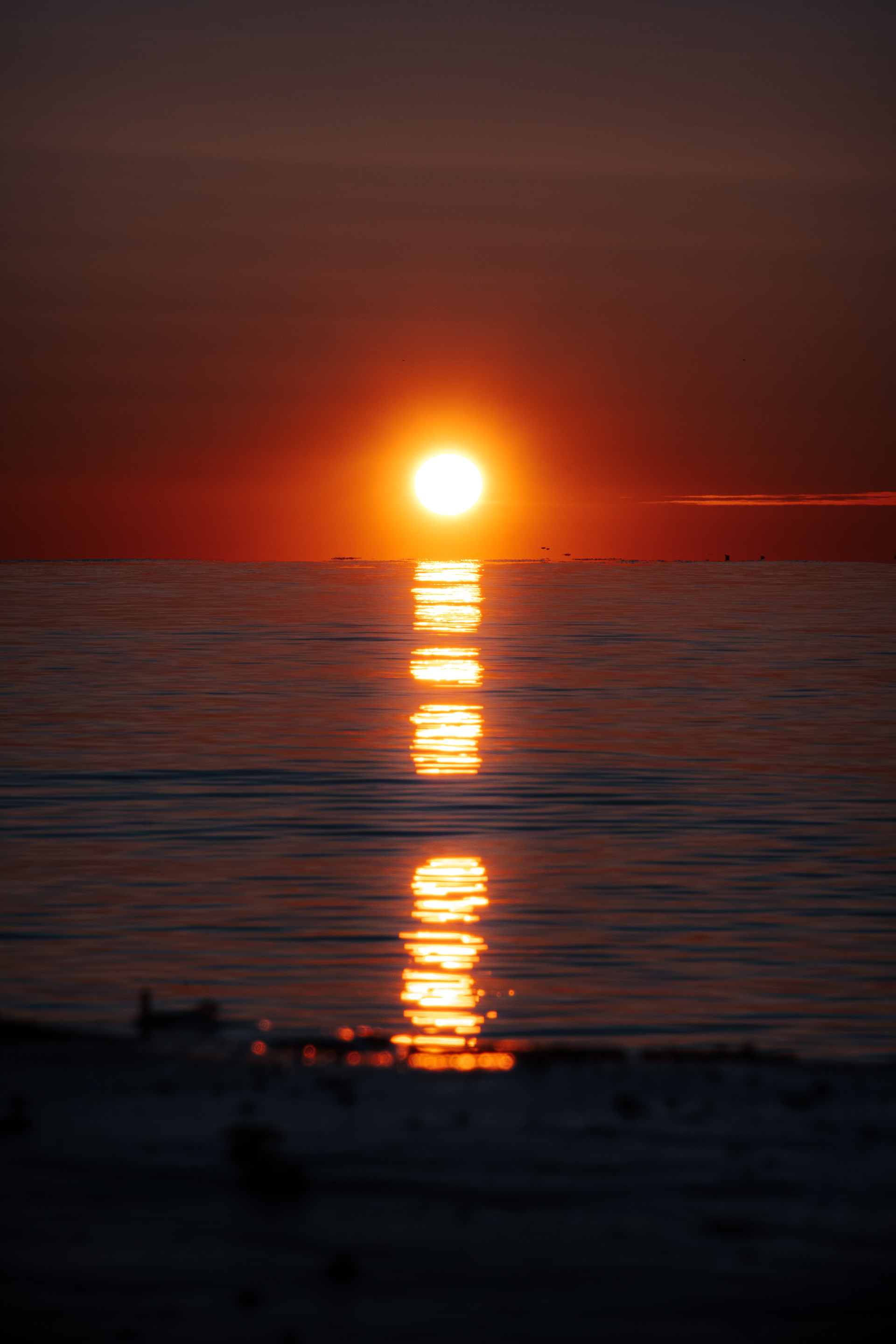 Scarborough Bluffs 2022